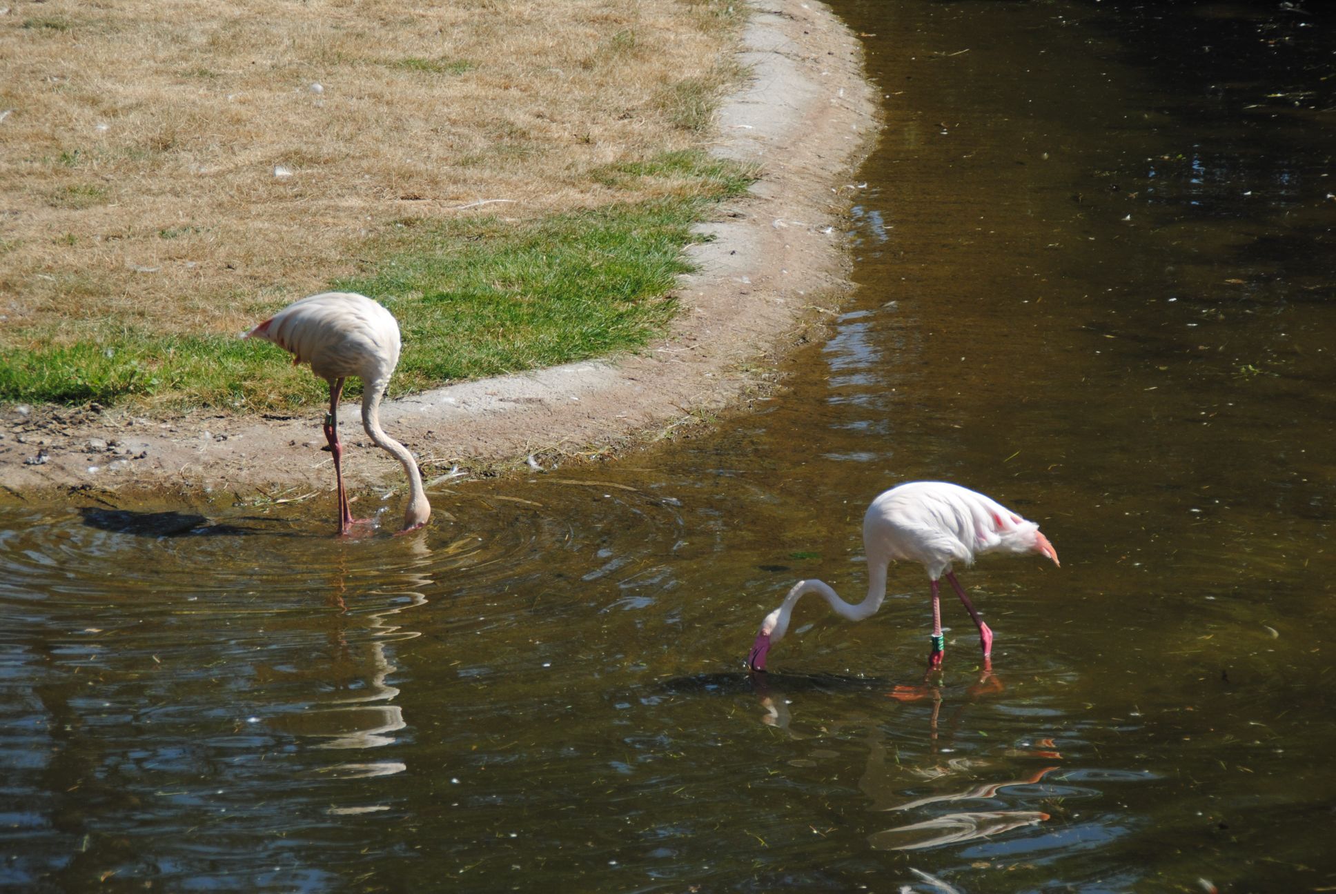 image049.jpg