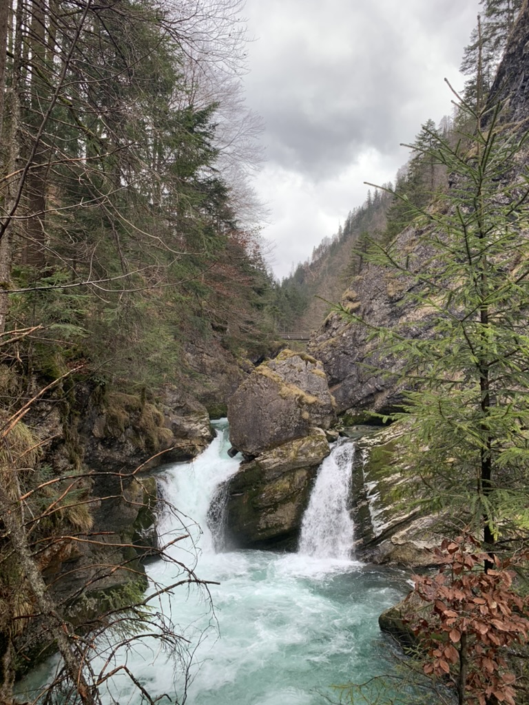 0984E515-717B-4CED-AA01-E5AC737760EE_1_105_c.jpeg
