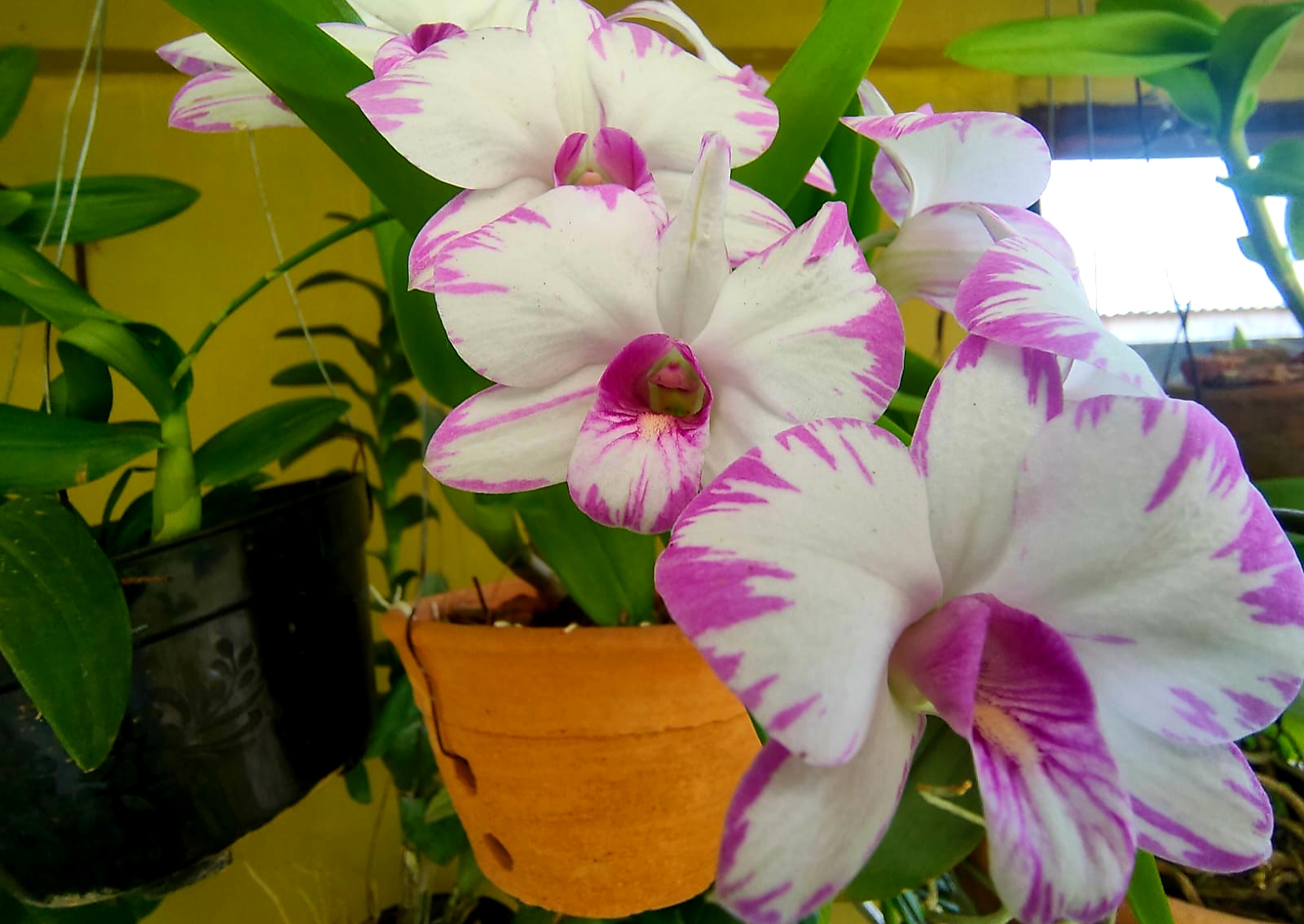 20220105_171833.jpg