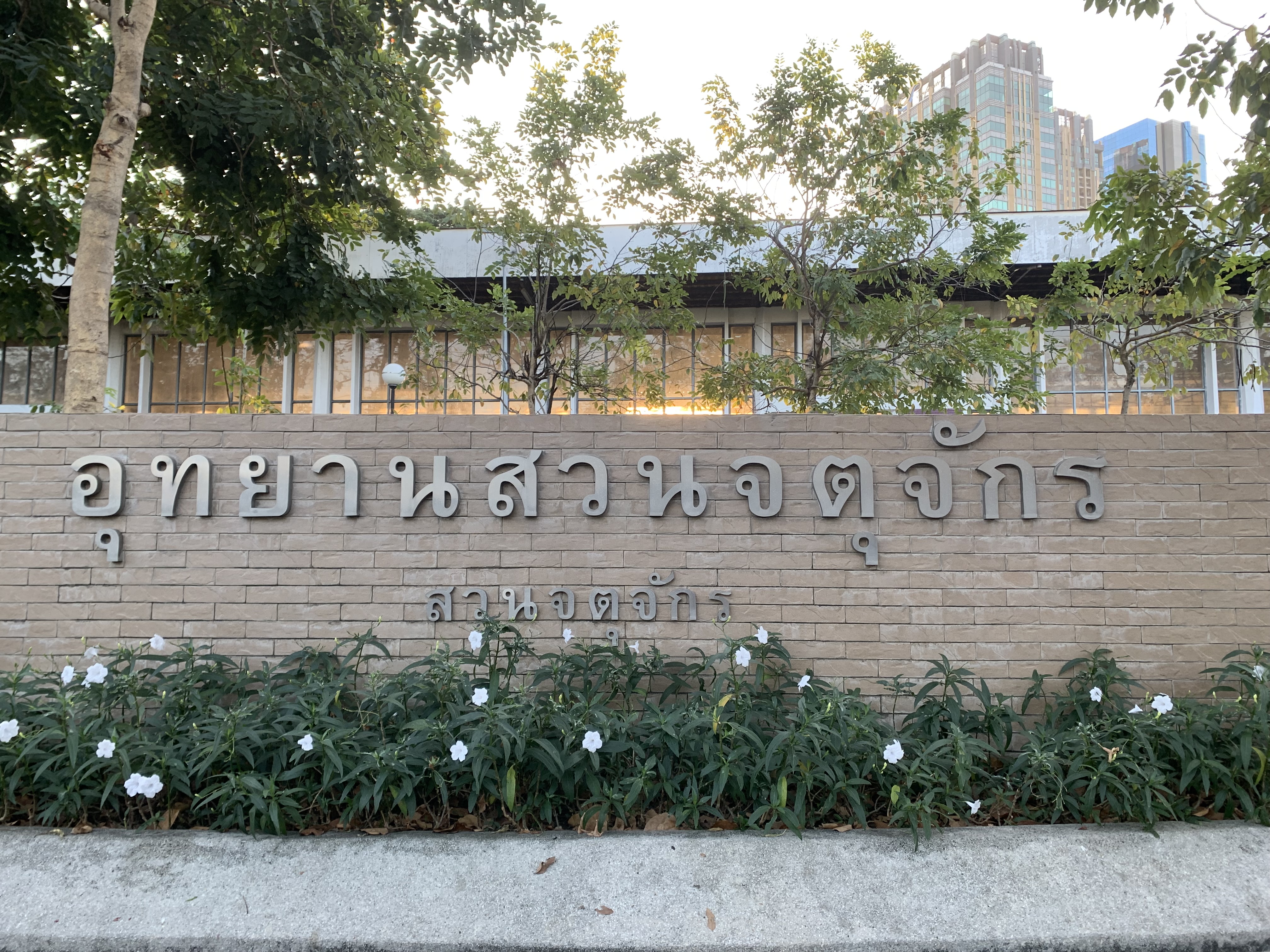 Chatuchak Park214.jpg