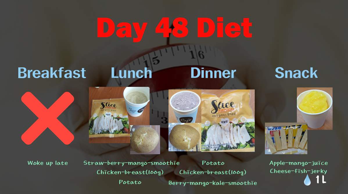 Day48 (식단).png