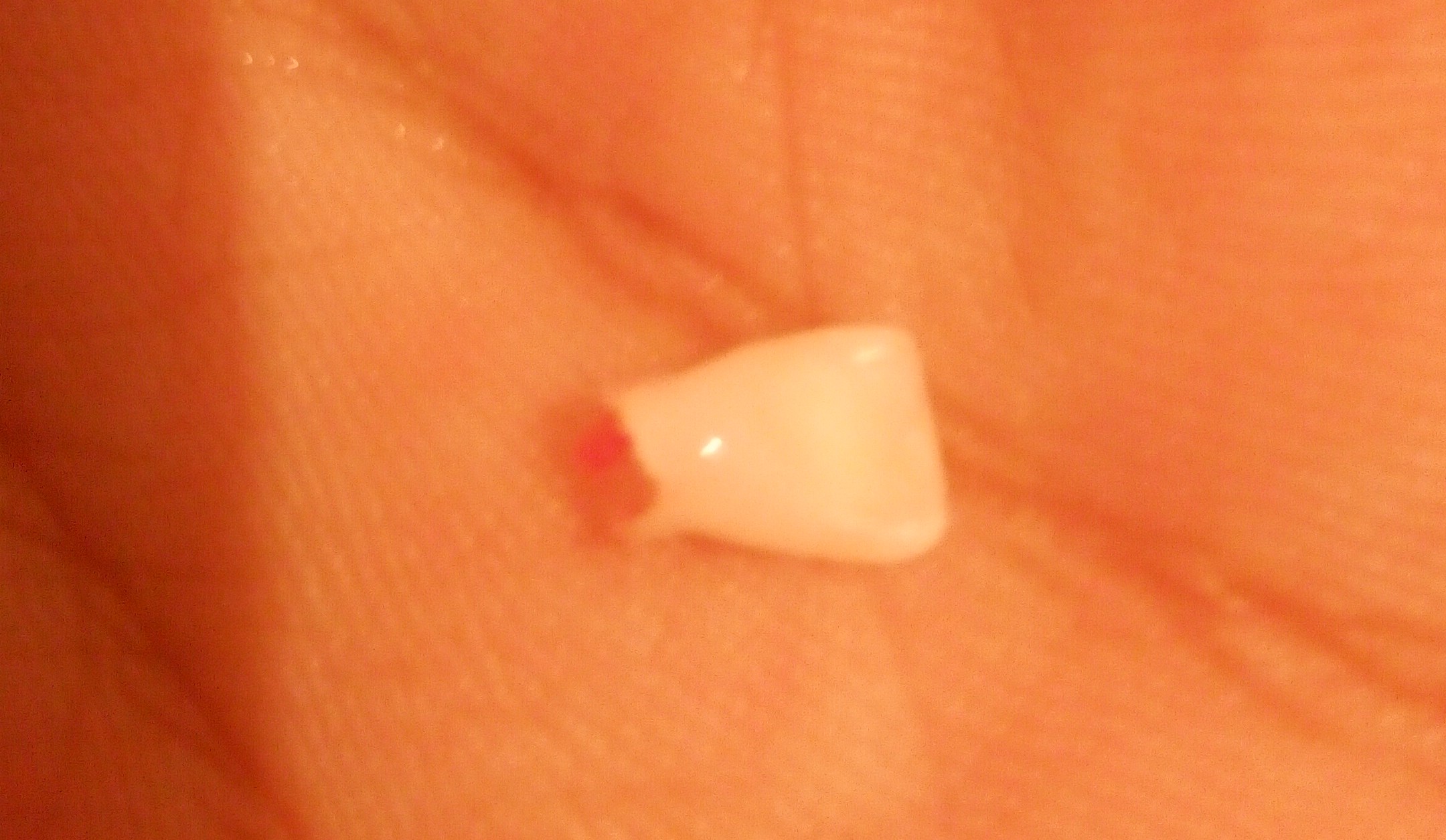 IMG-20210831-WA0020~2.jpeg