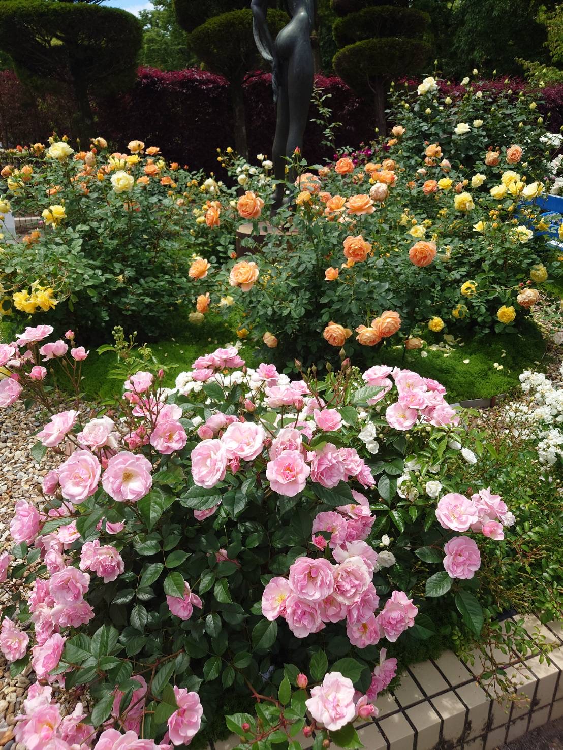 rose garden2.jpg