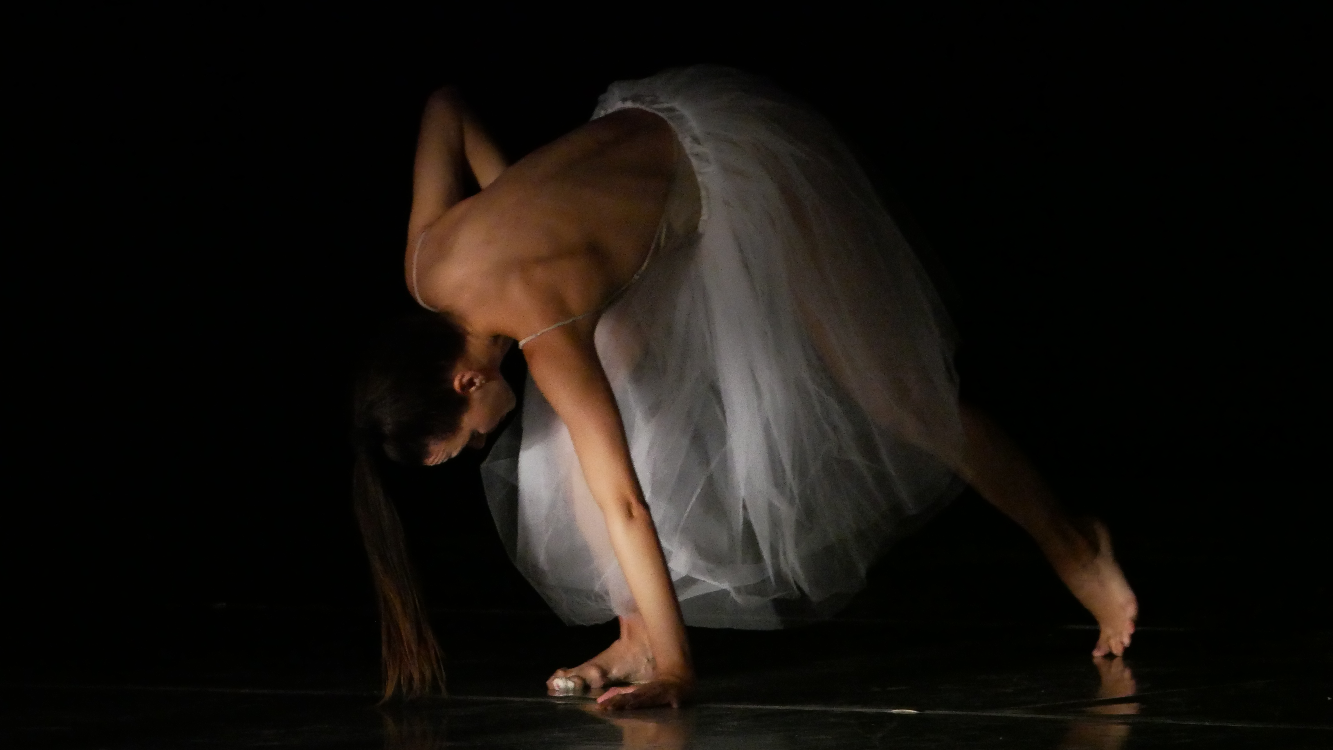 P1090207.JPG