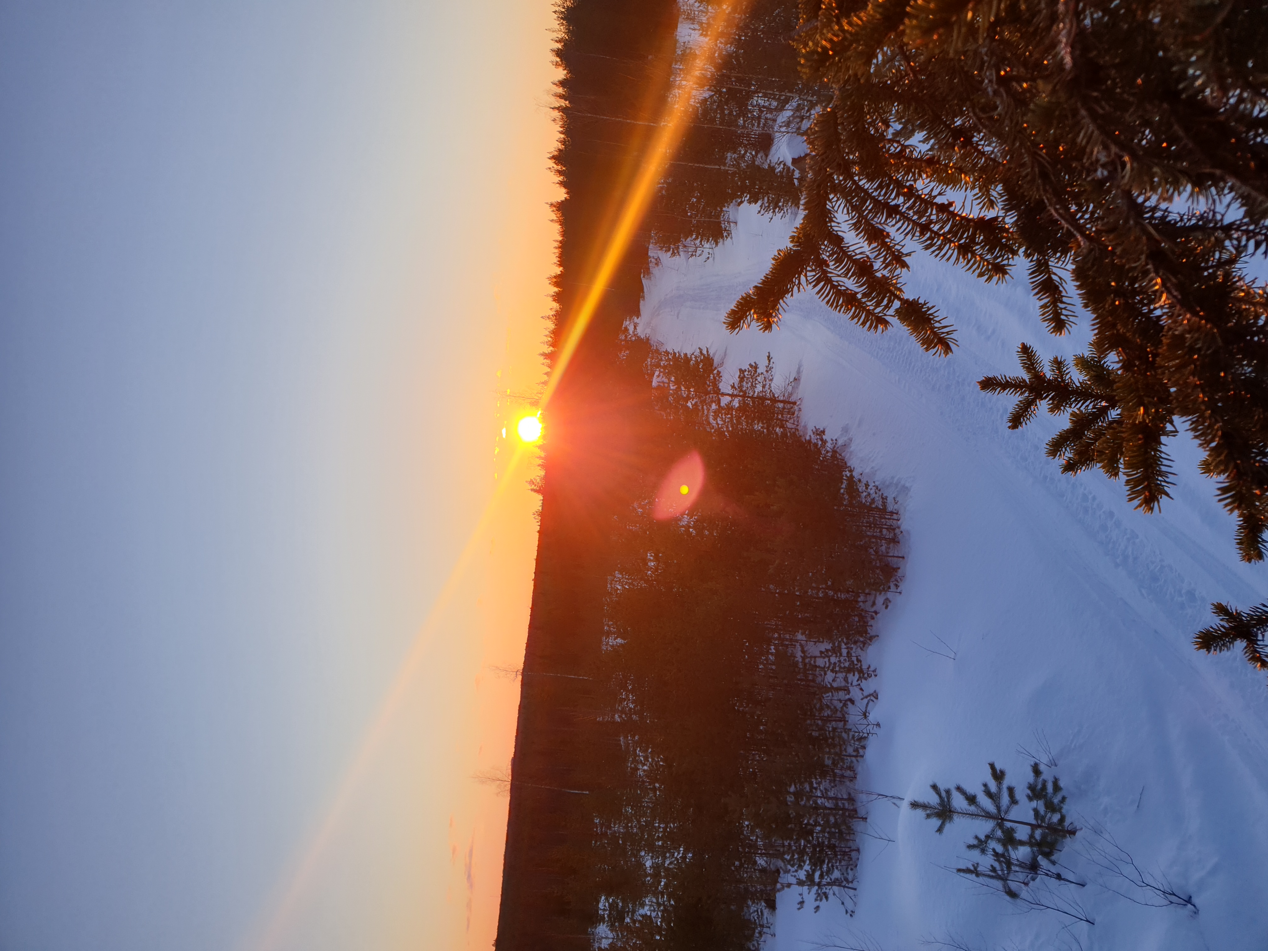20210318_181333.jpg