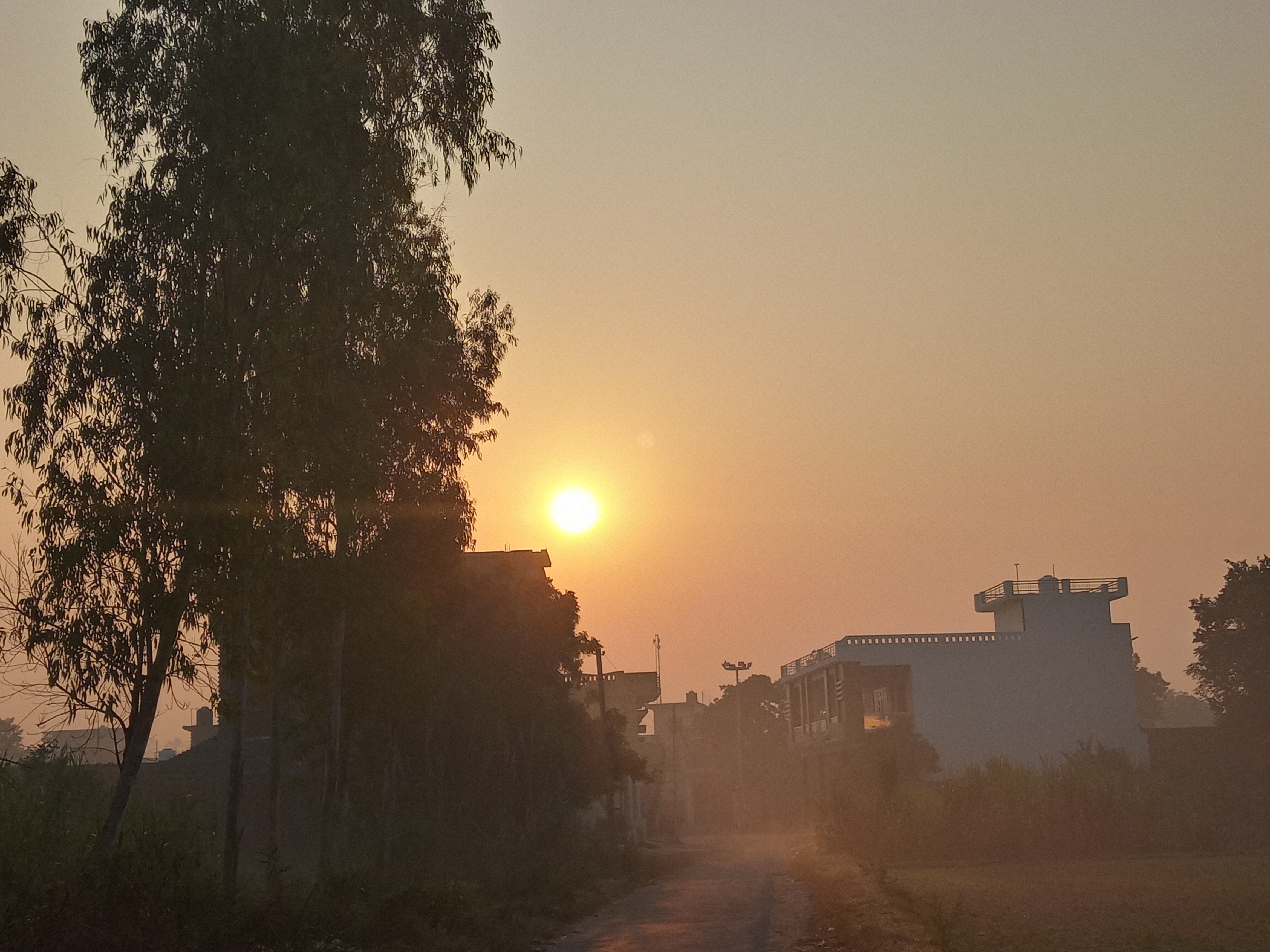 20211114_073001_HDR.jpg