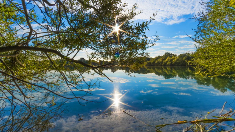 Untitled design - 2019-02-19T200829.104.png