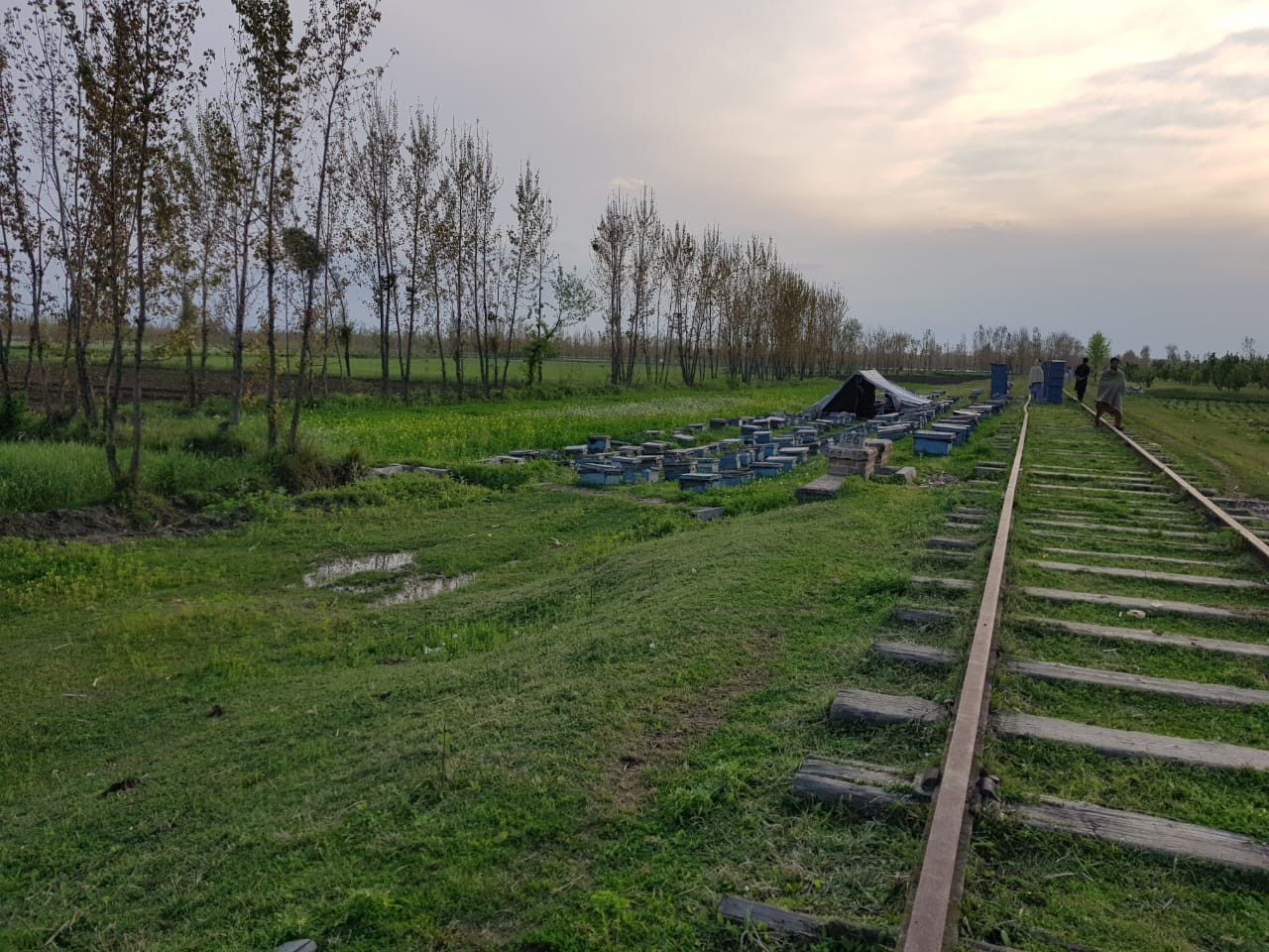 farm photos (12).jpeg