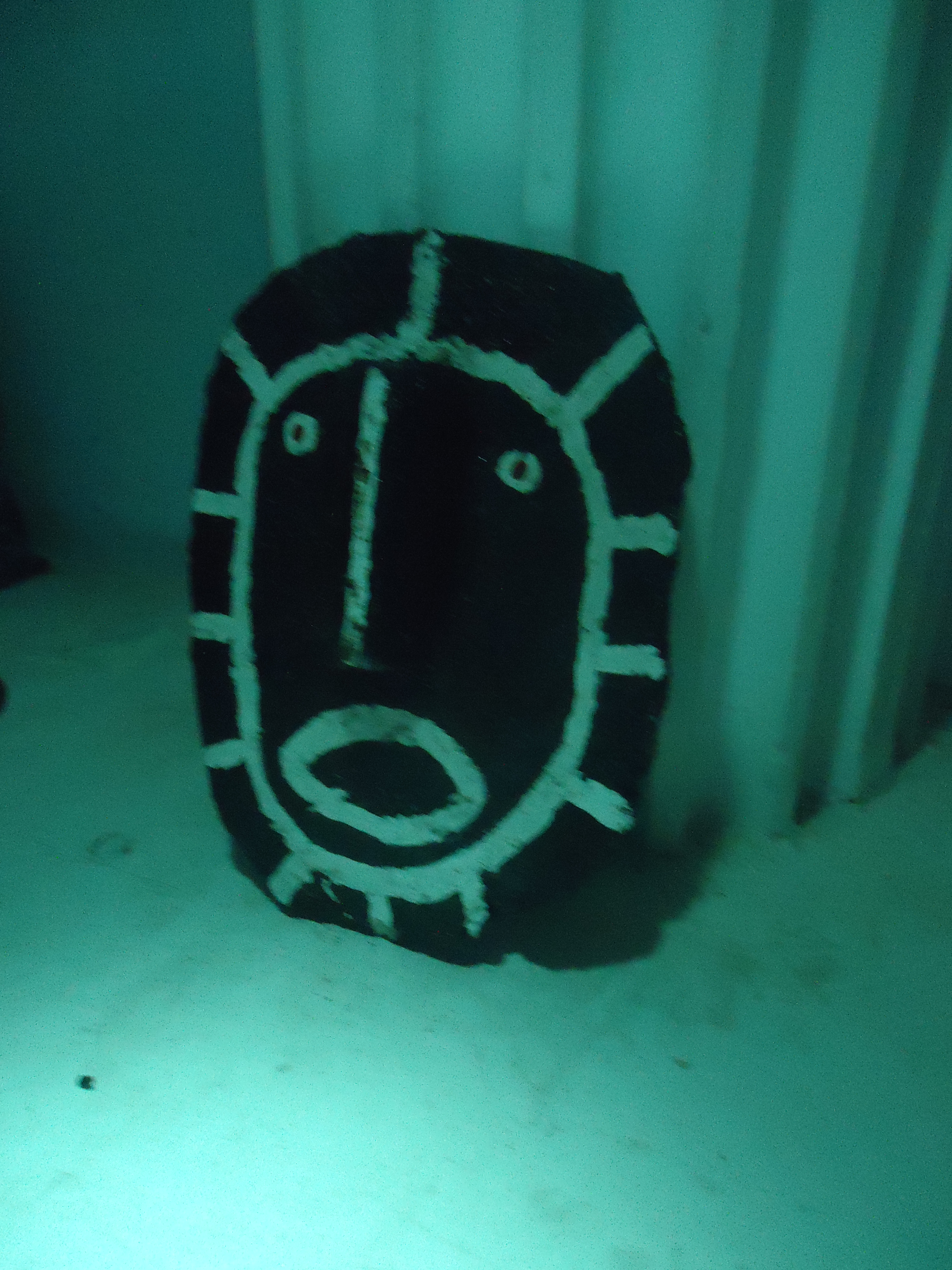 DSC00346.JPG