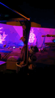 F4B79F25-8557-4FC7-AC7A-67ECFDB6AF57.gif
