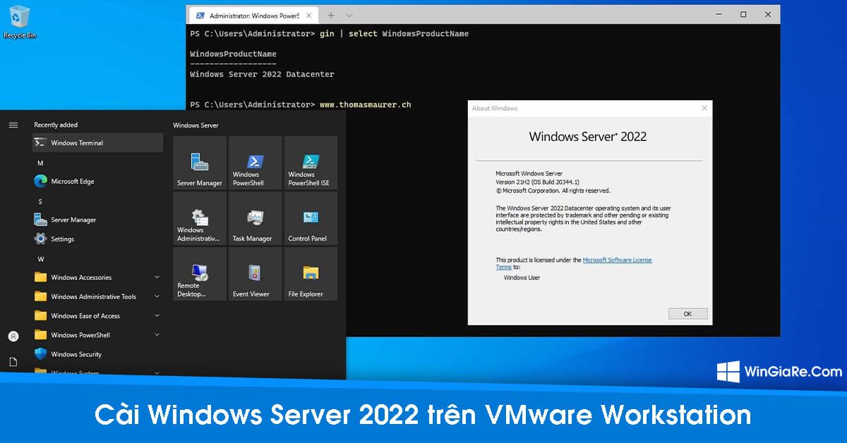 cai-dat-widows-server-2022.jpg