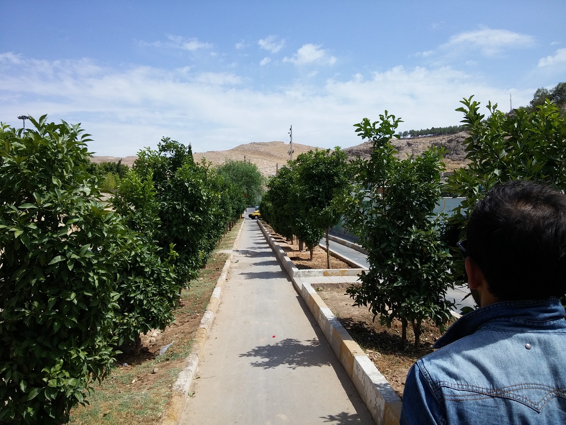 20150726_145933.jpg