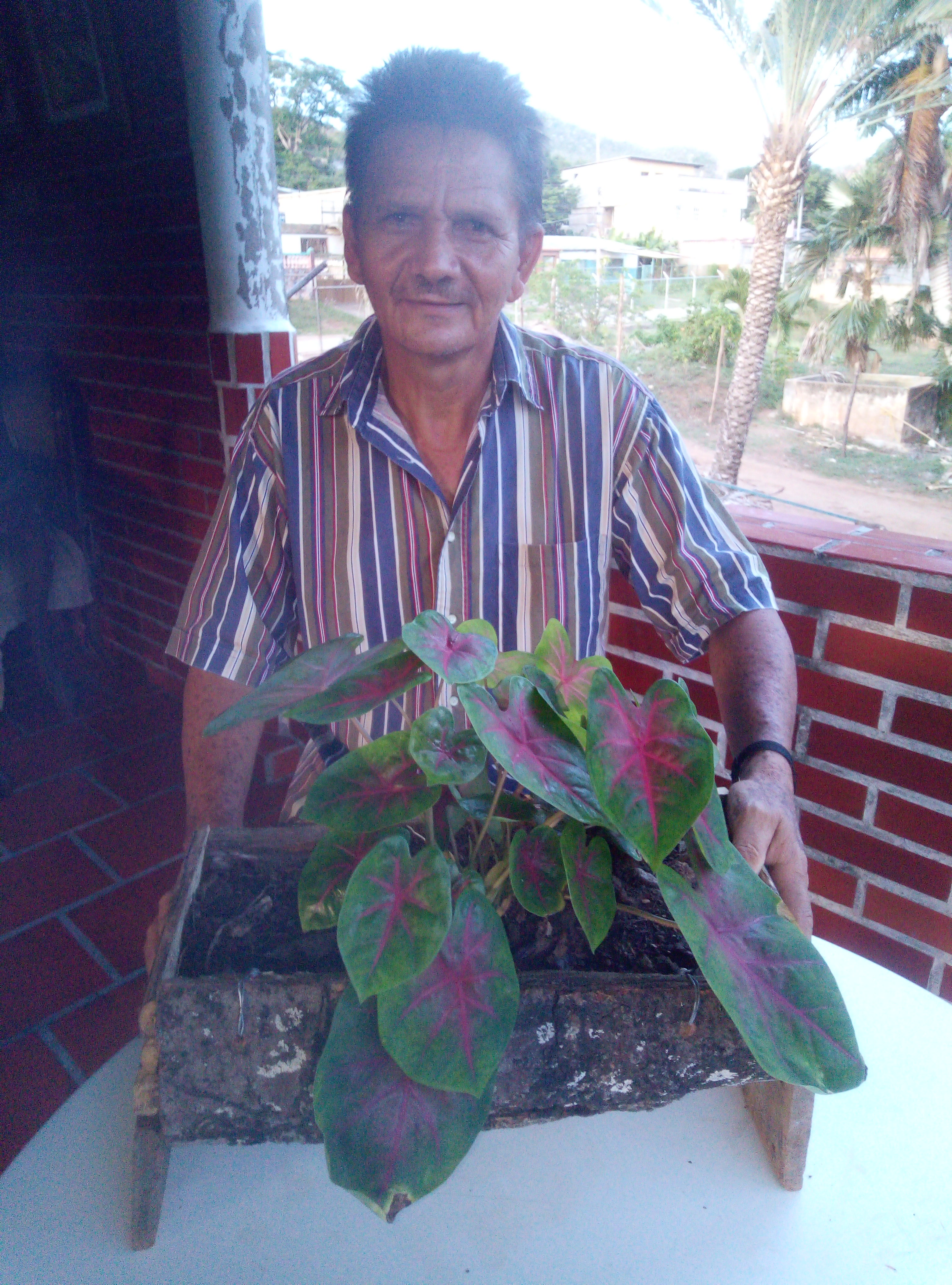 IMG_20211126_174603_BURST002.jpg