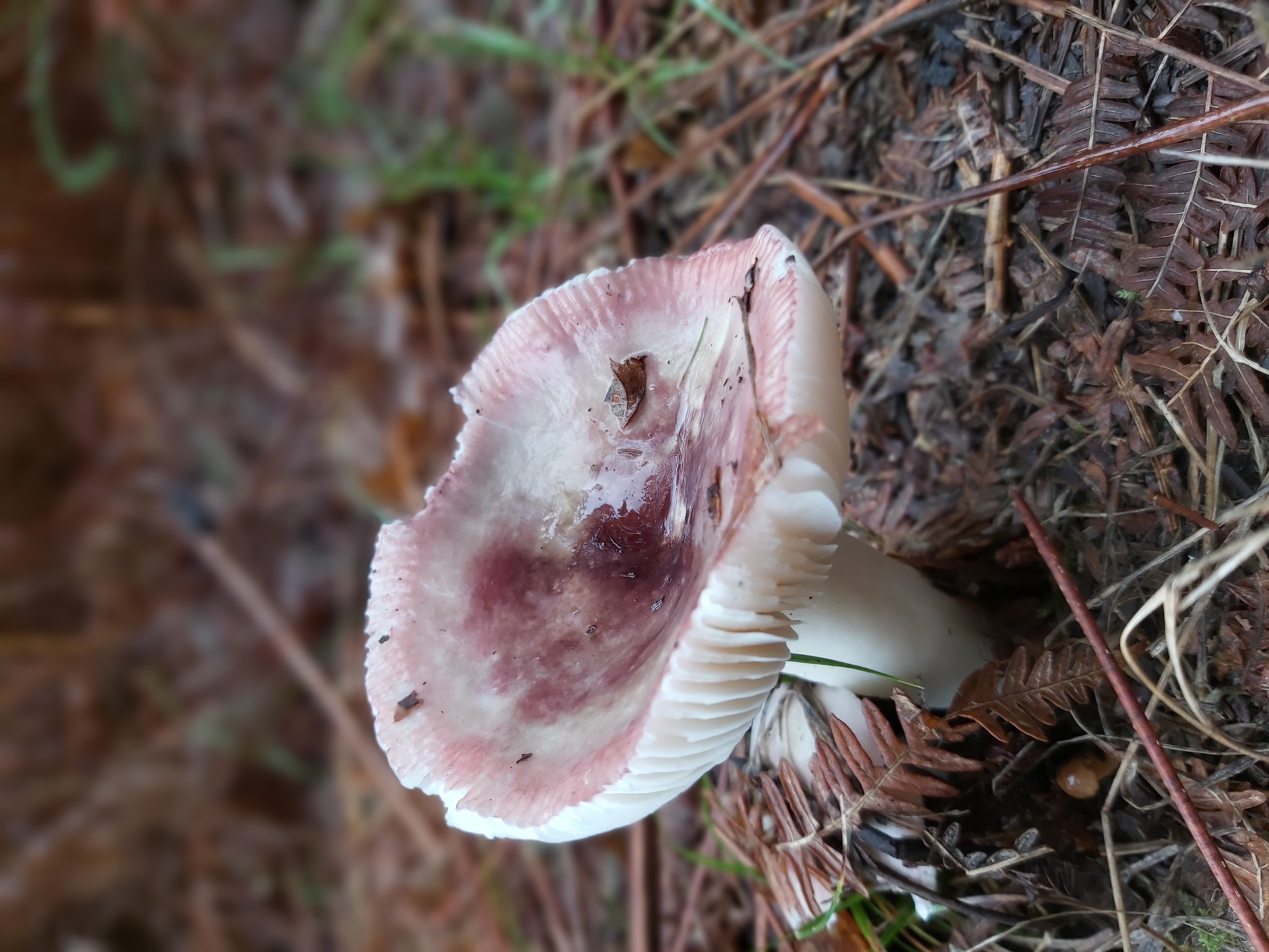 20191102_112724.jpg