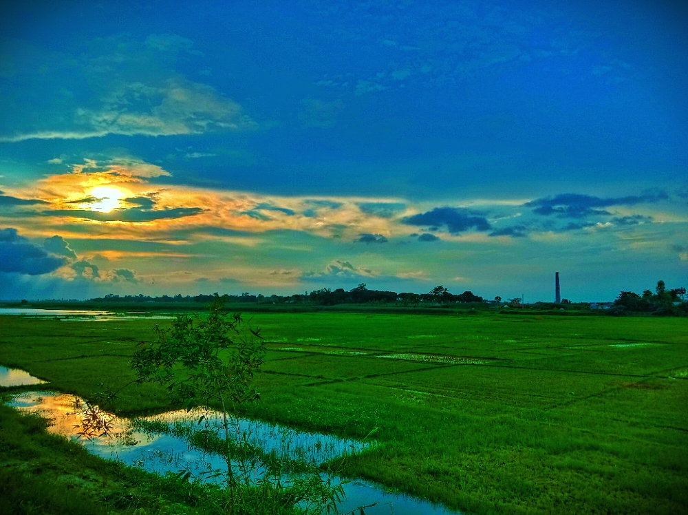 IMG_20260410_211629.jpg