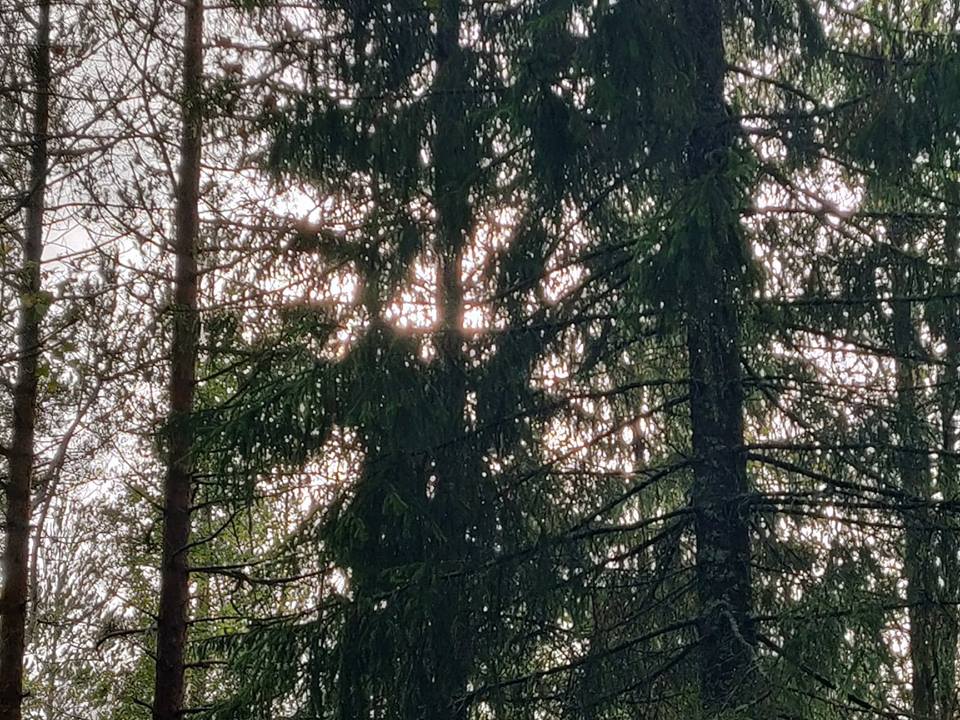 43027846_330933187469420_3578440612132683776_n.jpg