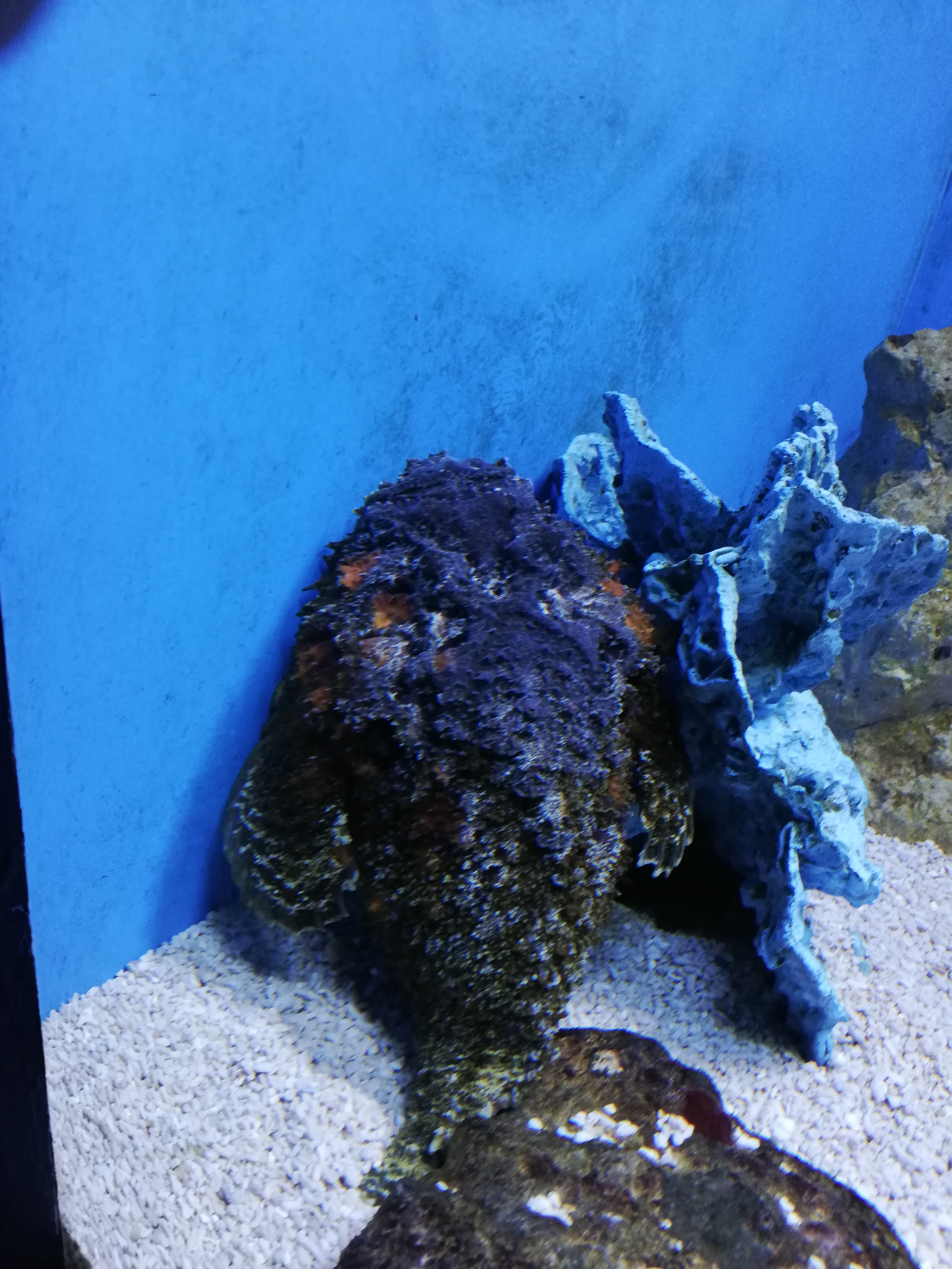 IMG_20210624_114206.jpg