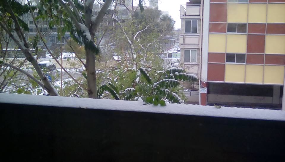 snow2.jpg