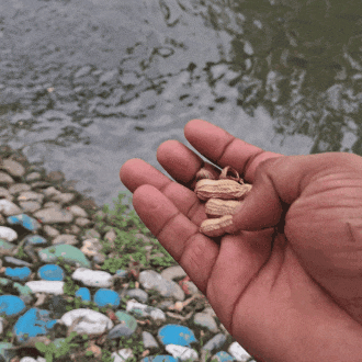 1000037186.gif