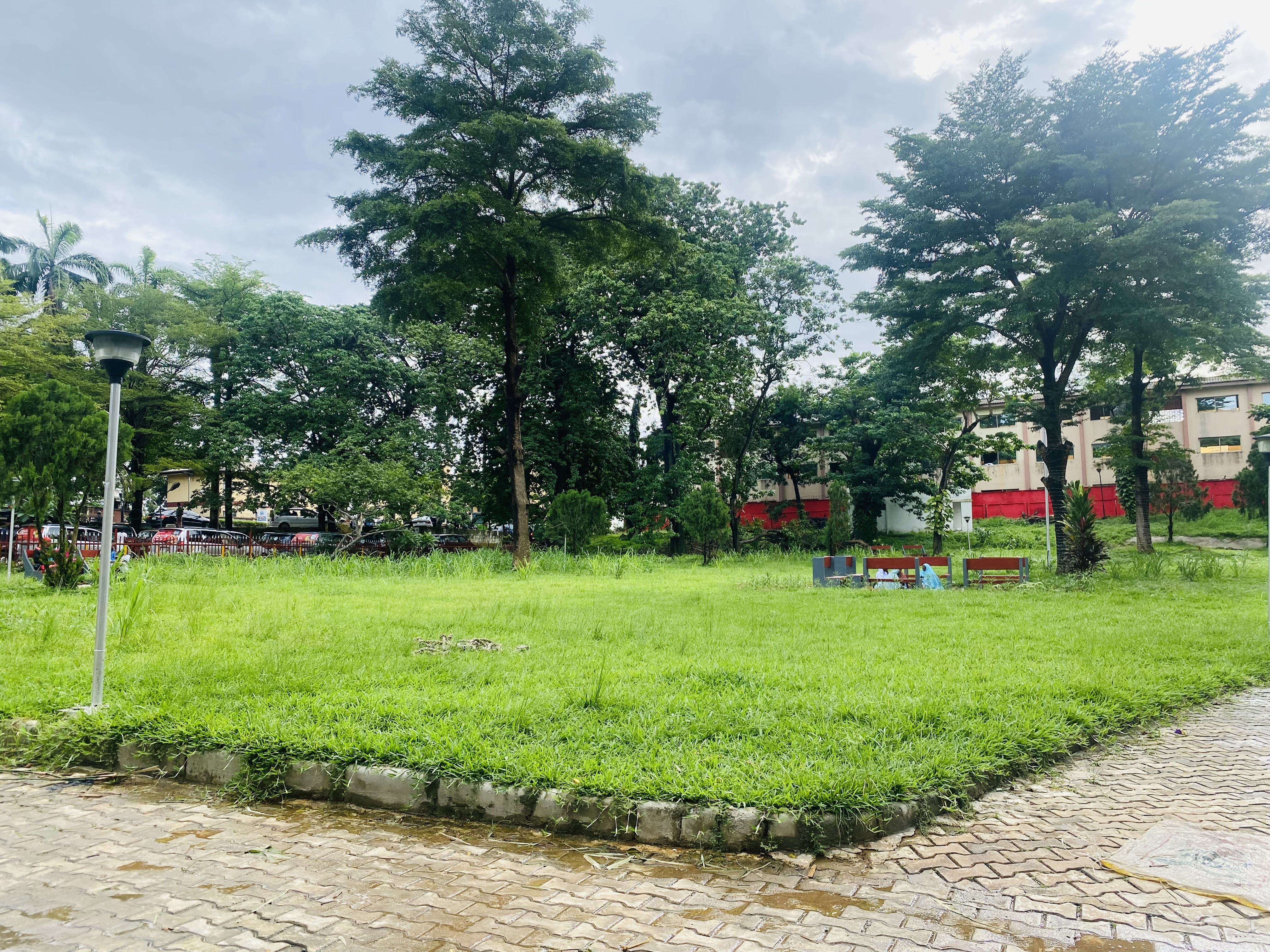 IMG_5927.jpeg