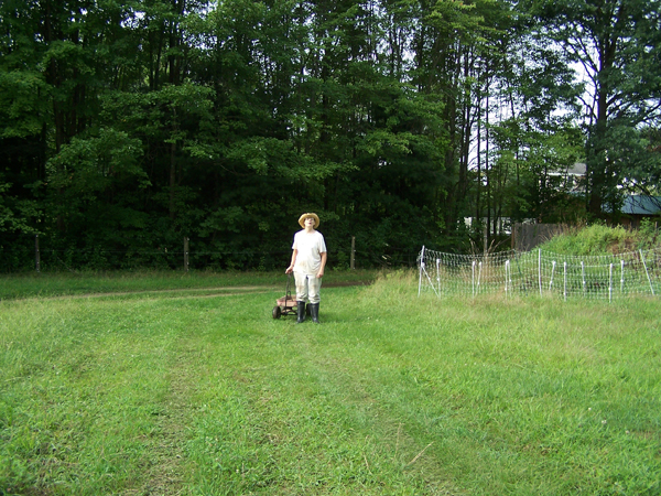 Pam finishing moving pen crop Aug. 2018.jpg