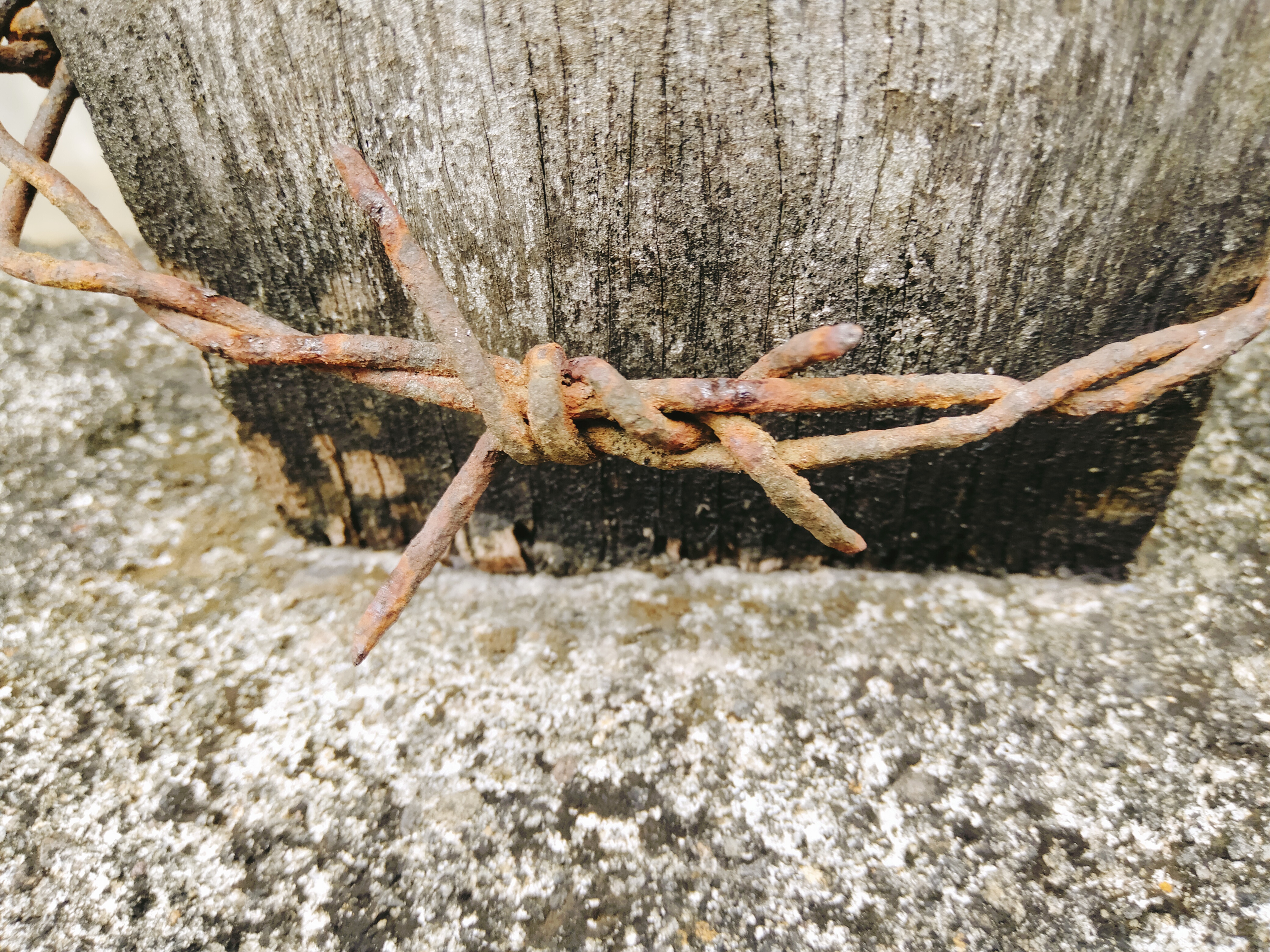 IMG20210604153751.jpg