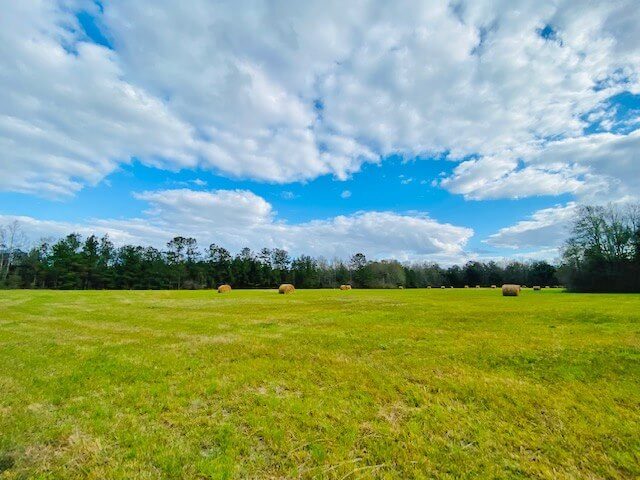 Land for Sale in Louisiana1.jpg