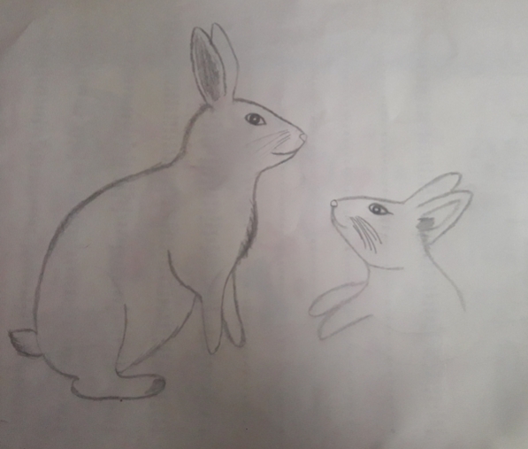 20220513_164509.jpg