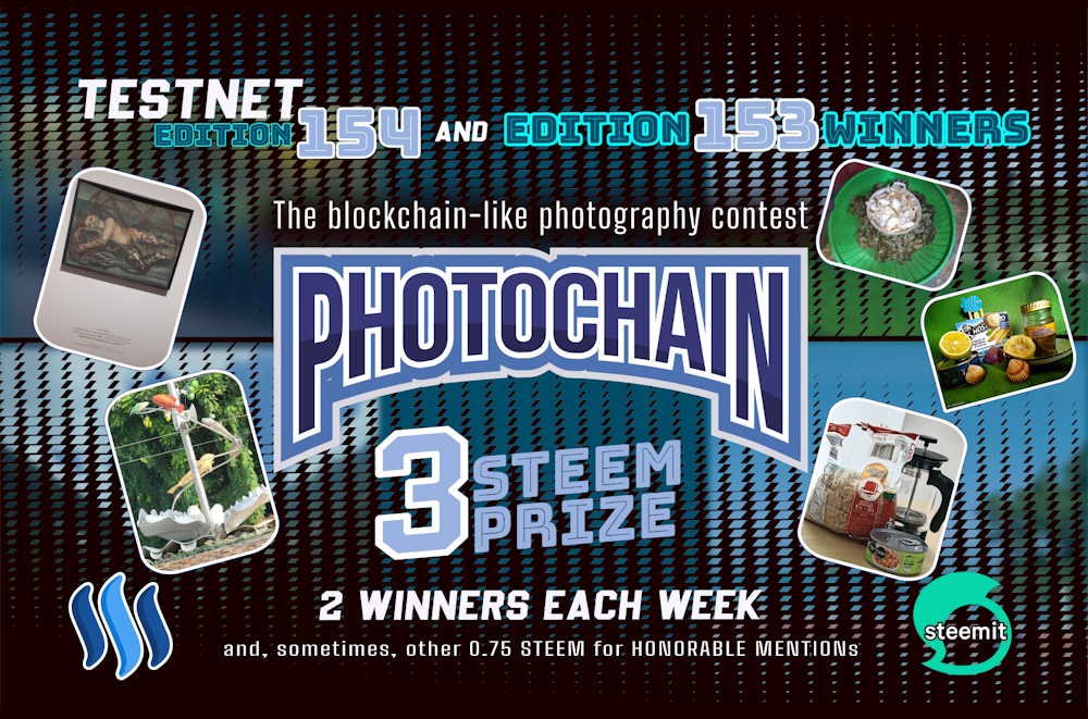 photochain testnet edition steem cover.jpg