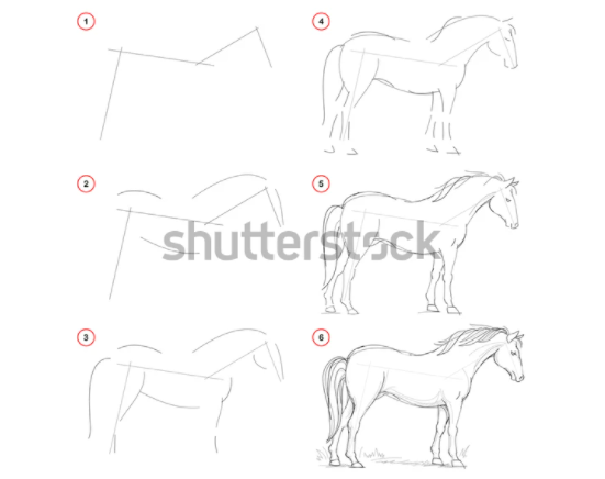 Dibujar cara de caballo