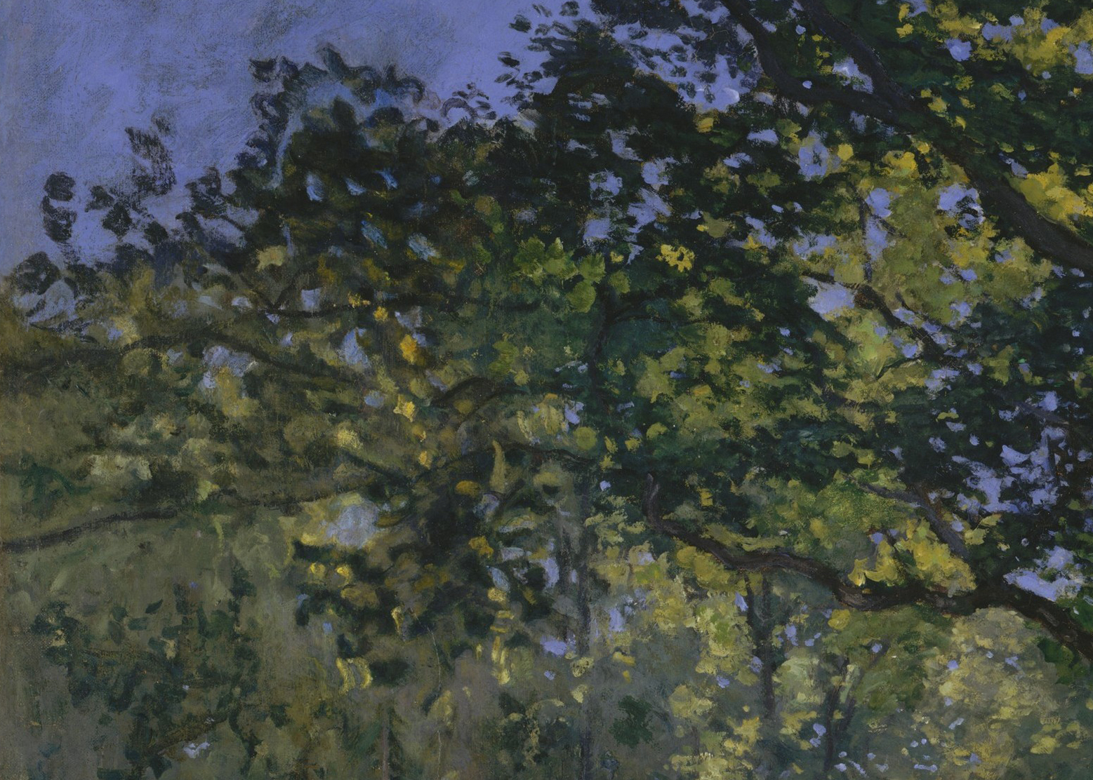 monet7_3.jpg