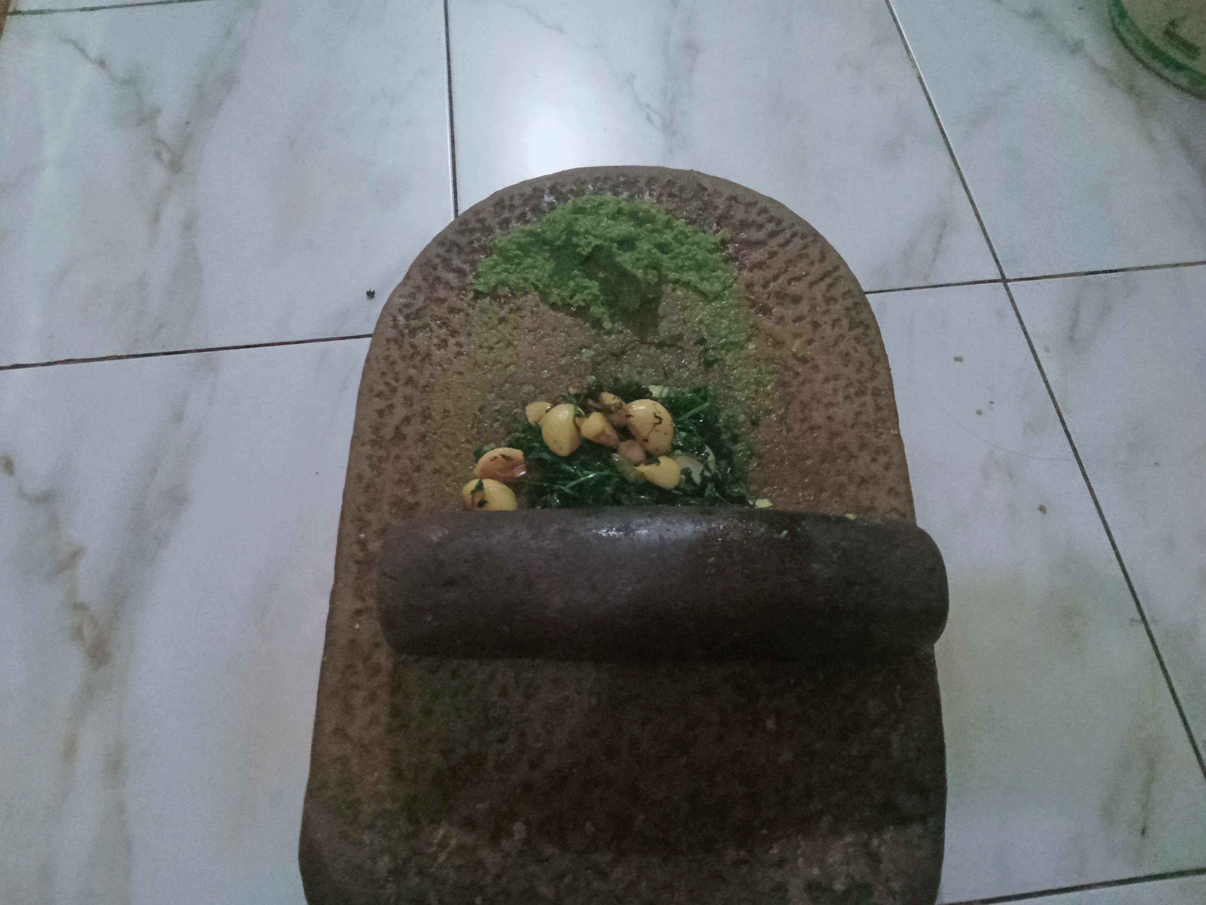 Dhania pata (12).jpg