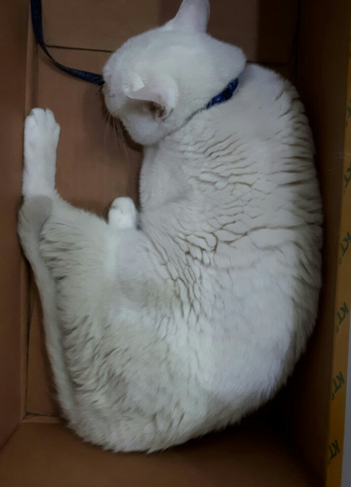 KakaoTalk_20180824_183053733.jpg