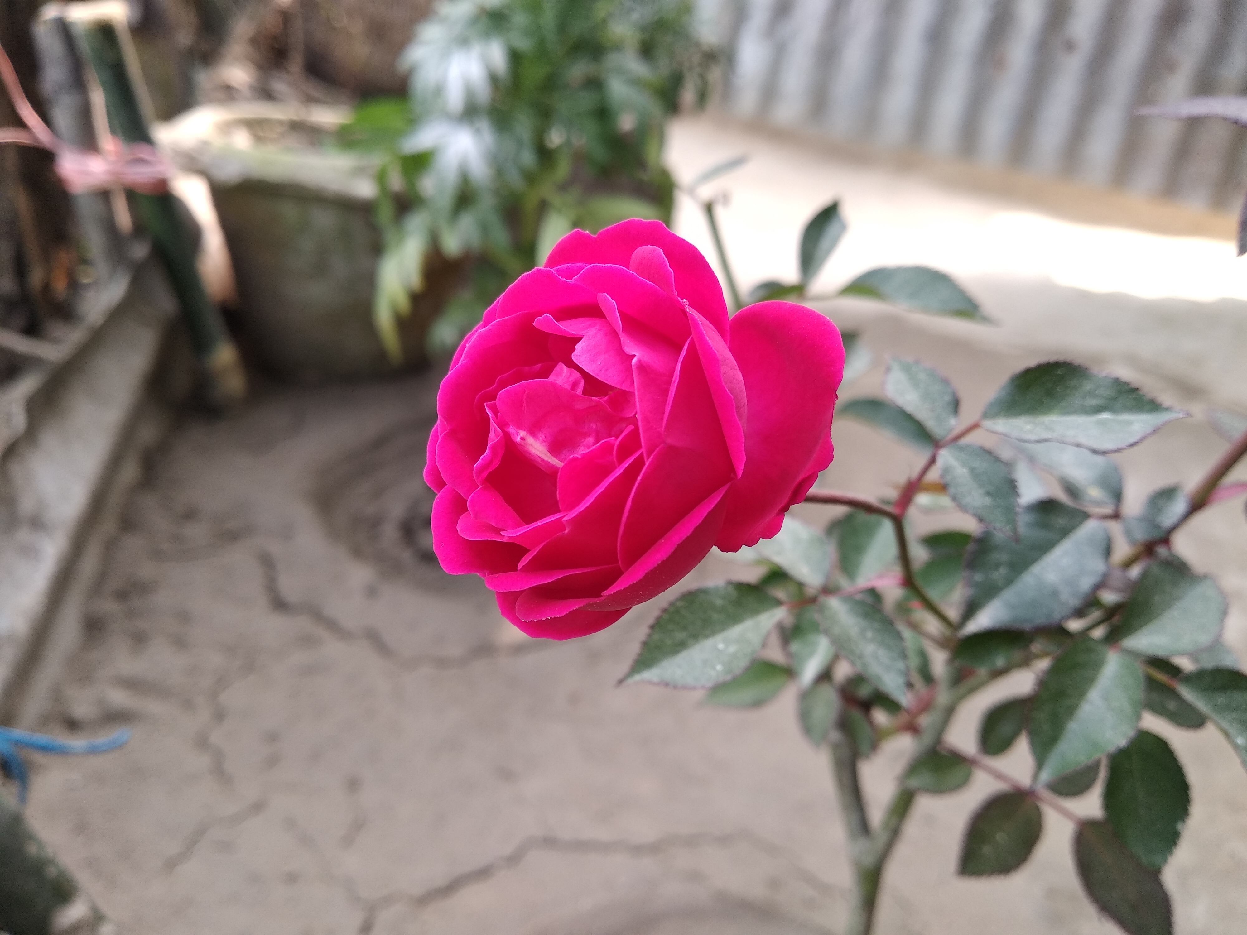 IMG_20190104_135544.jpg