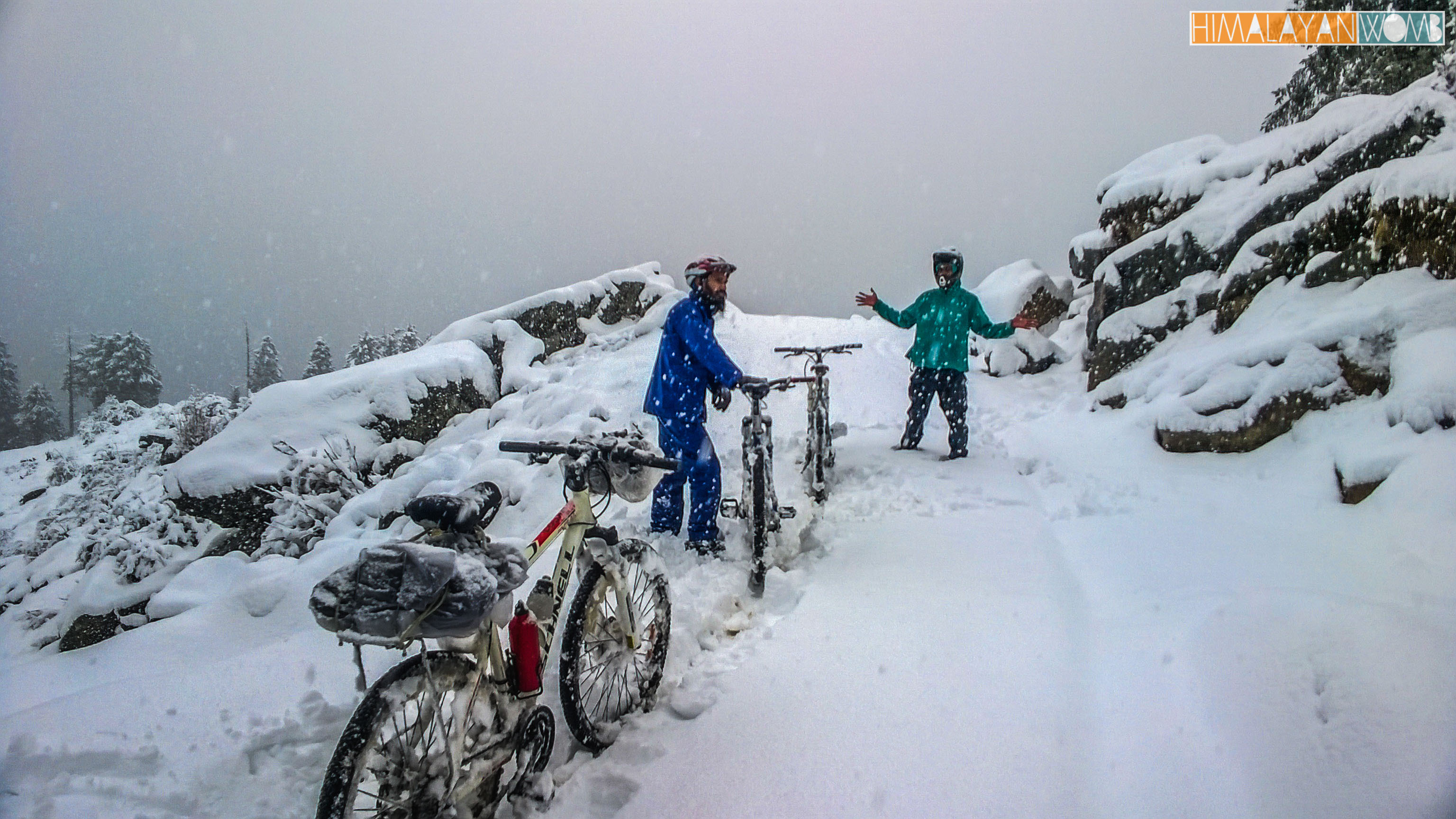 WP_20150302_17_00_38_Pro.jpg