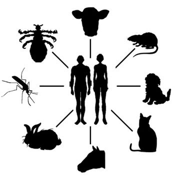 zoonosis.jpg