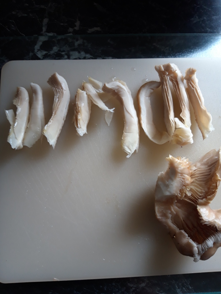 20190428_180059.jpg