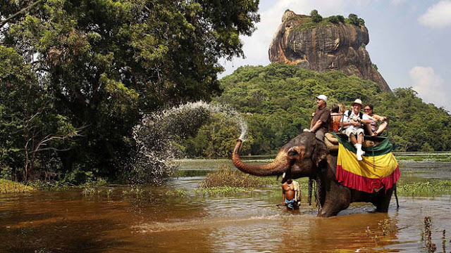 srilankaElephant.jpg