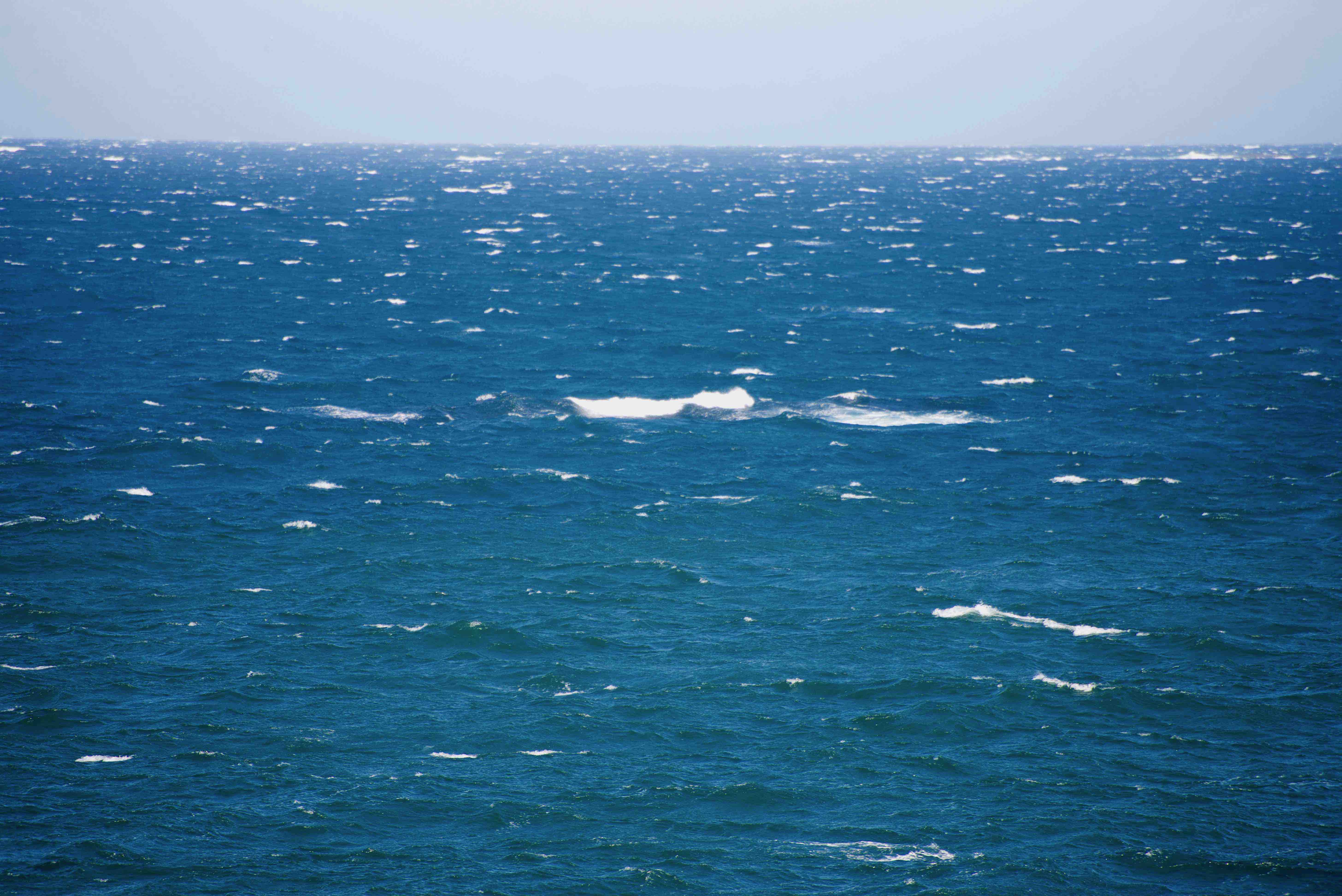 DSC_2041.jpg