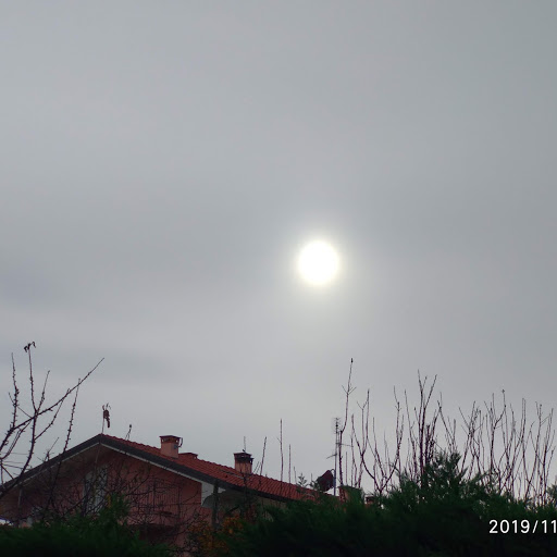 IMG_20191124_141956.jpg