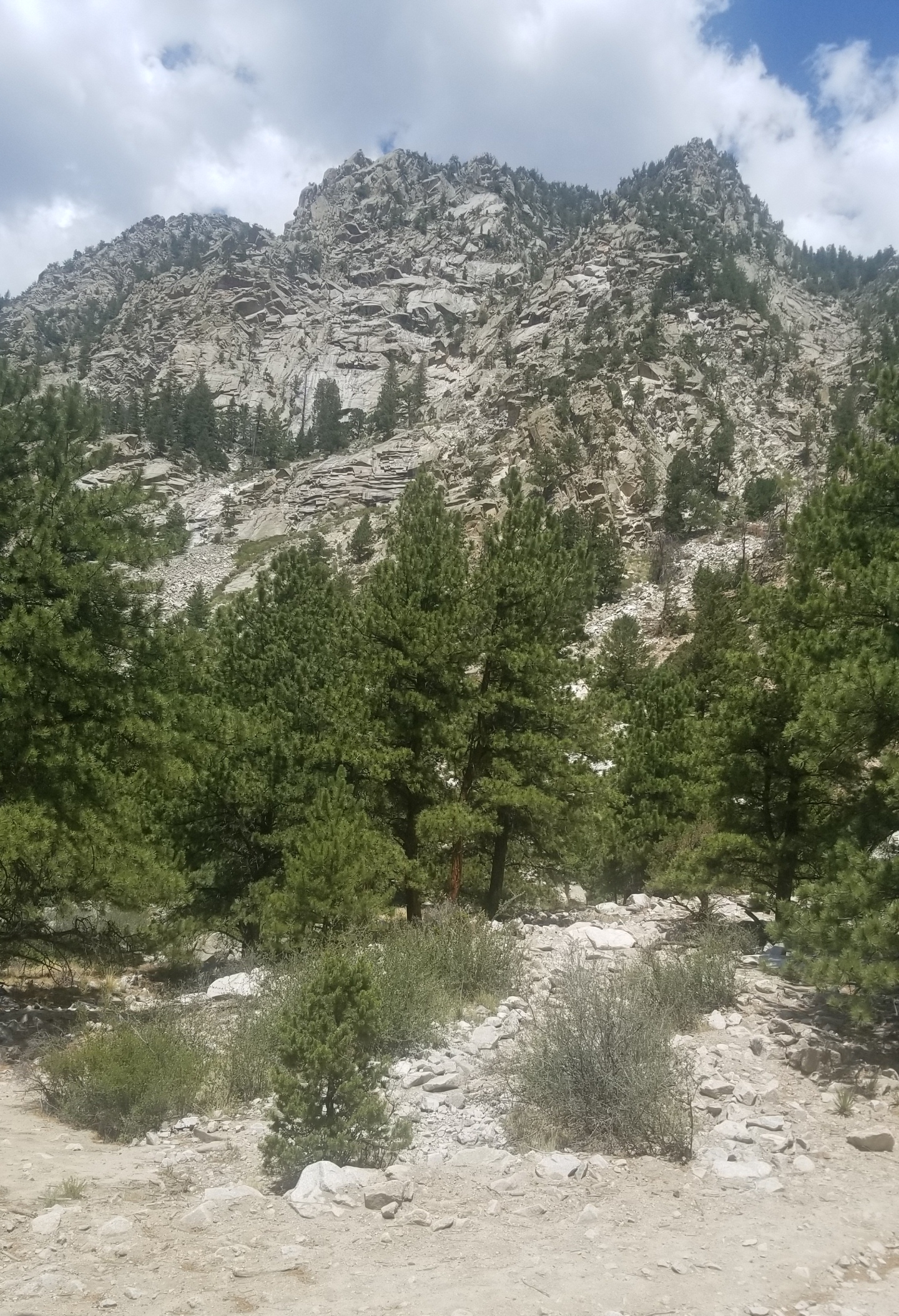 20180710_152455.jpg