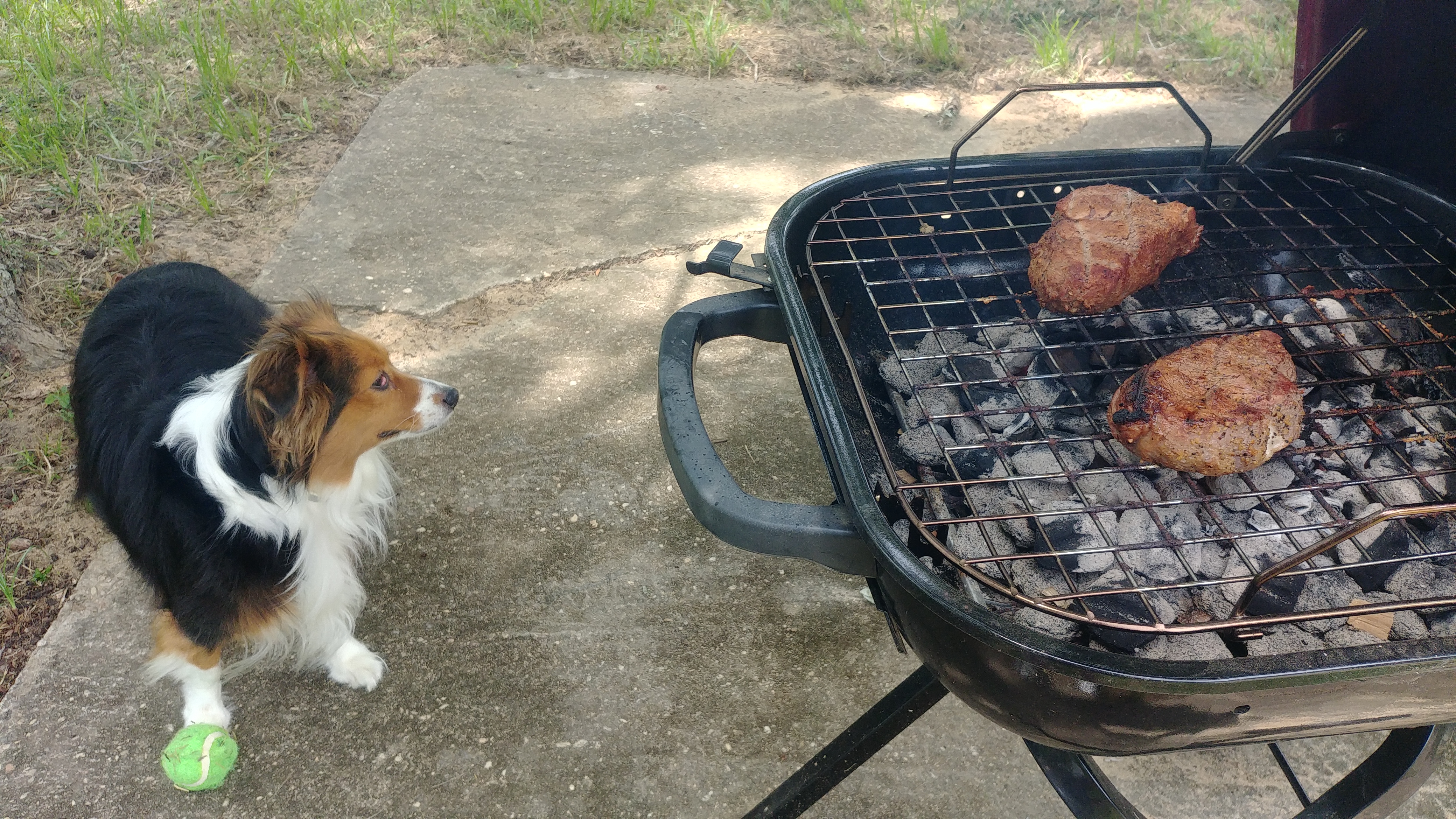 20180701_143912.jpg