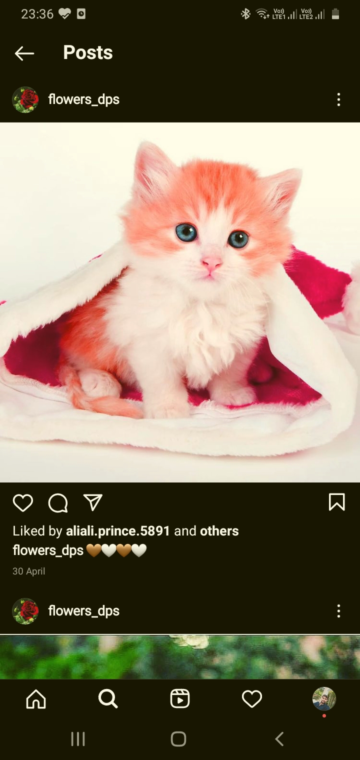 Screenshot_20211010-233609_Instagram.jpg