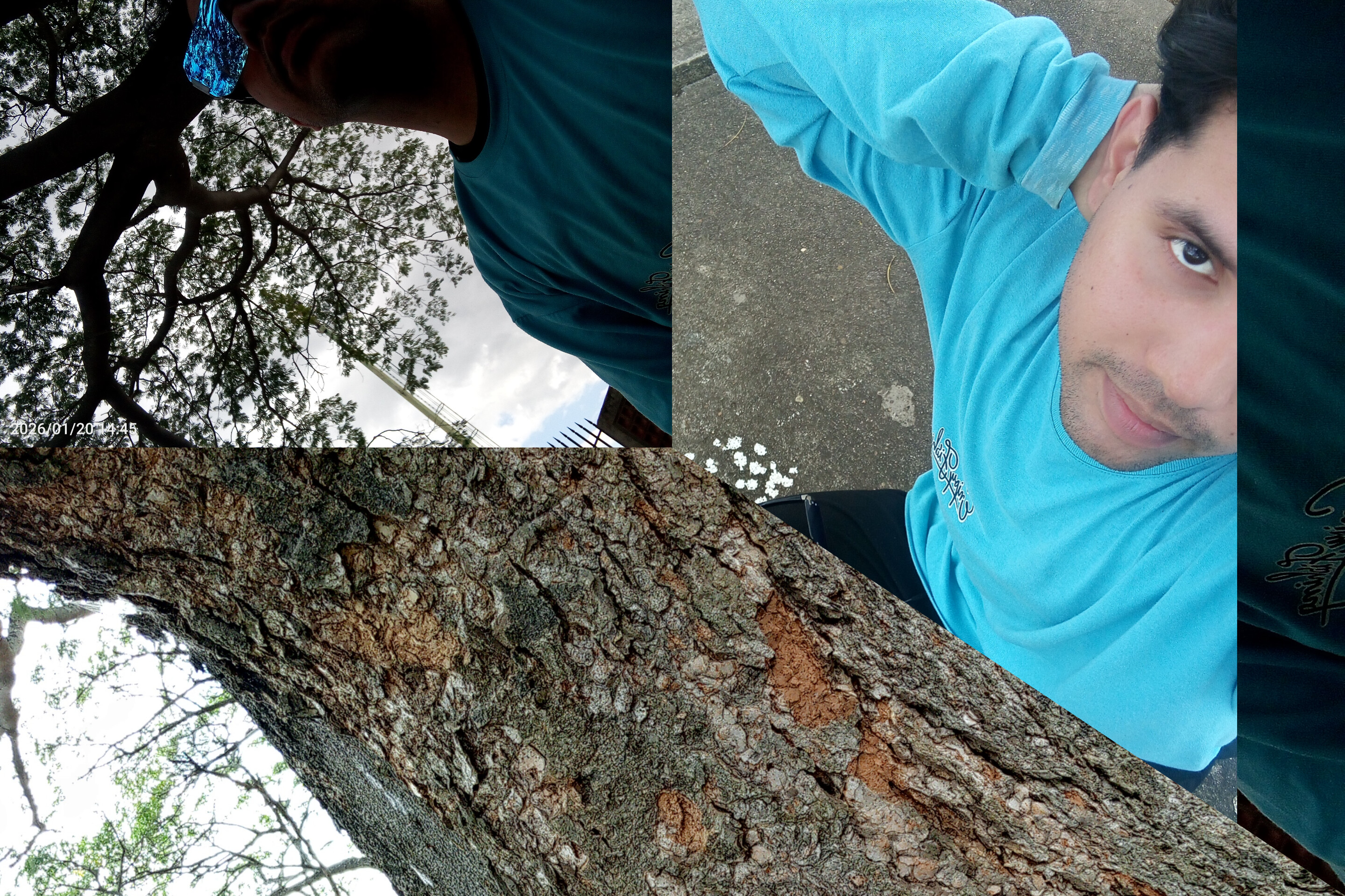 InShot_20260120_220637647.jpg