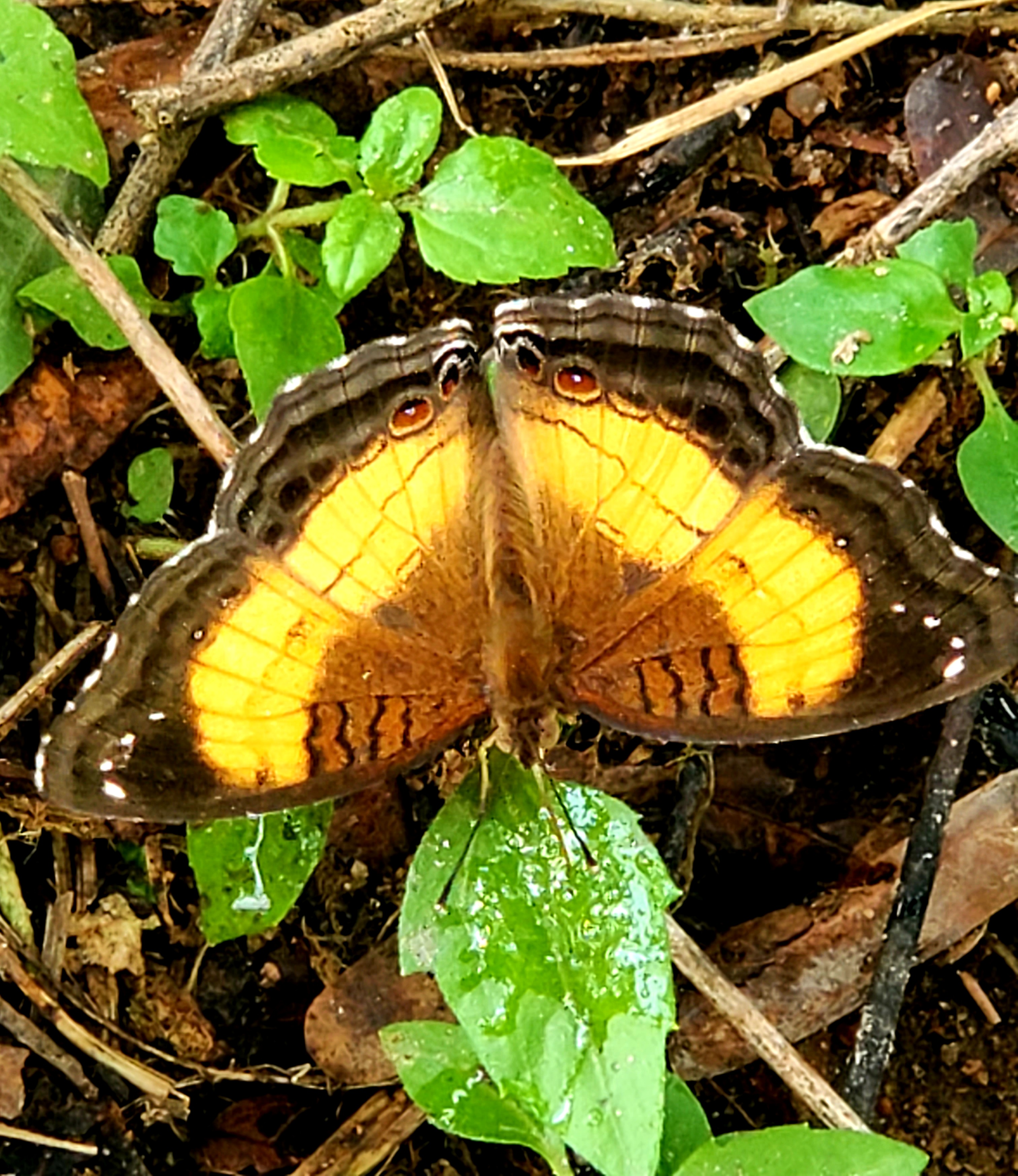 20220820_143510.jpg