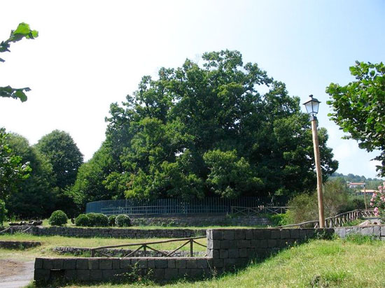 Tree of one hundred horses.jpg