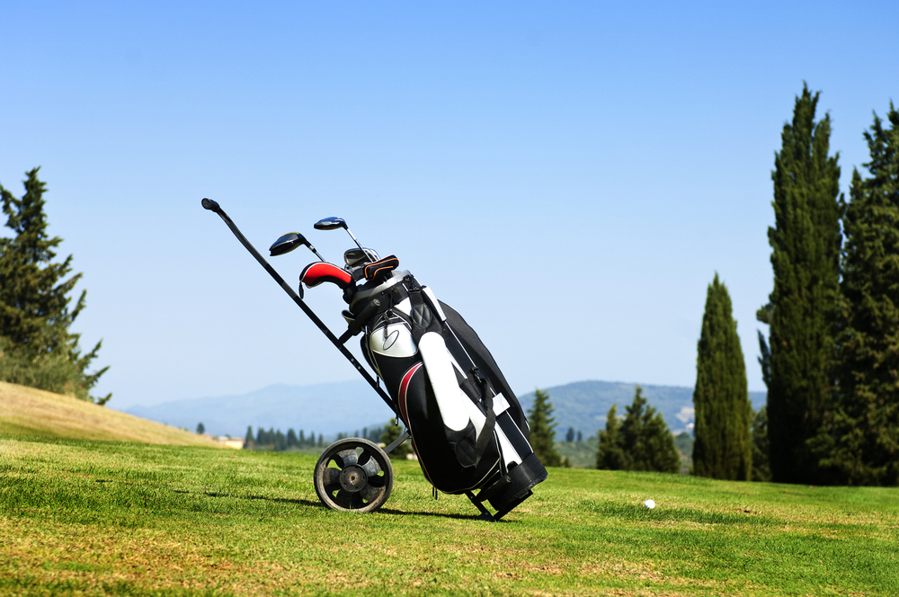 types-of-golf-bag-cart.jpg
