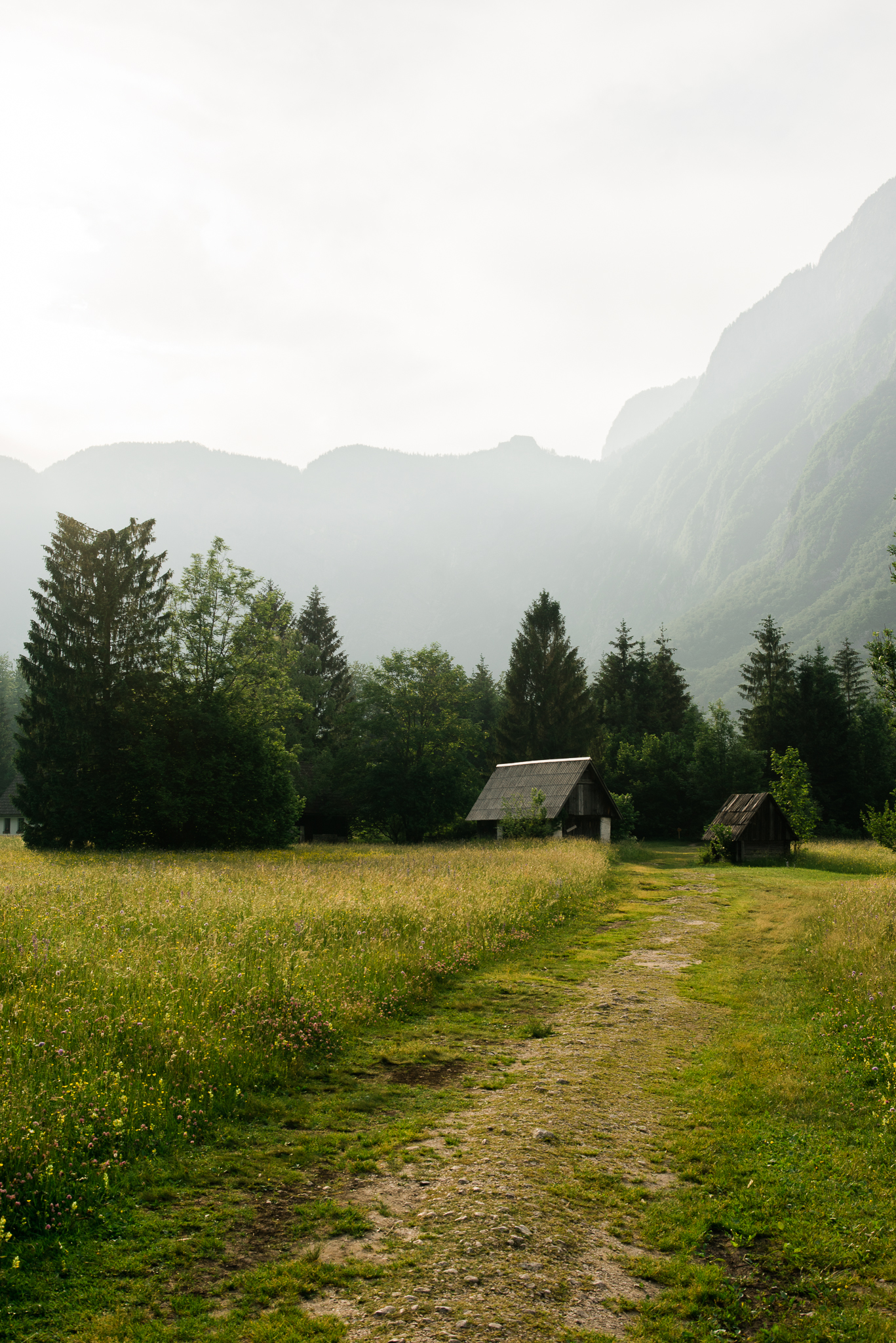 pf- (49 of 65).jpg