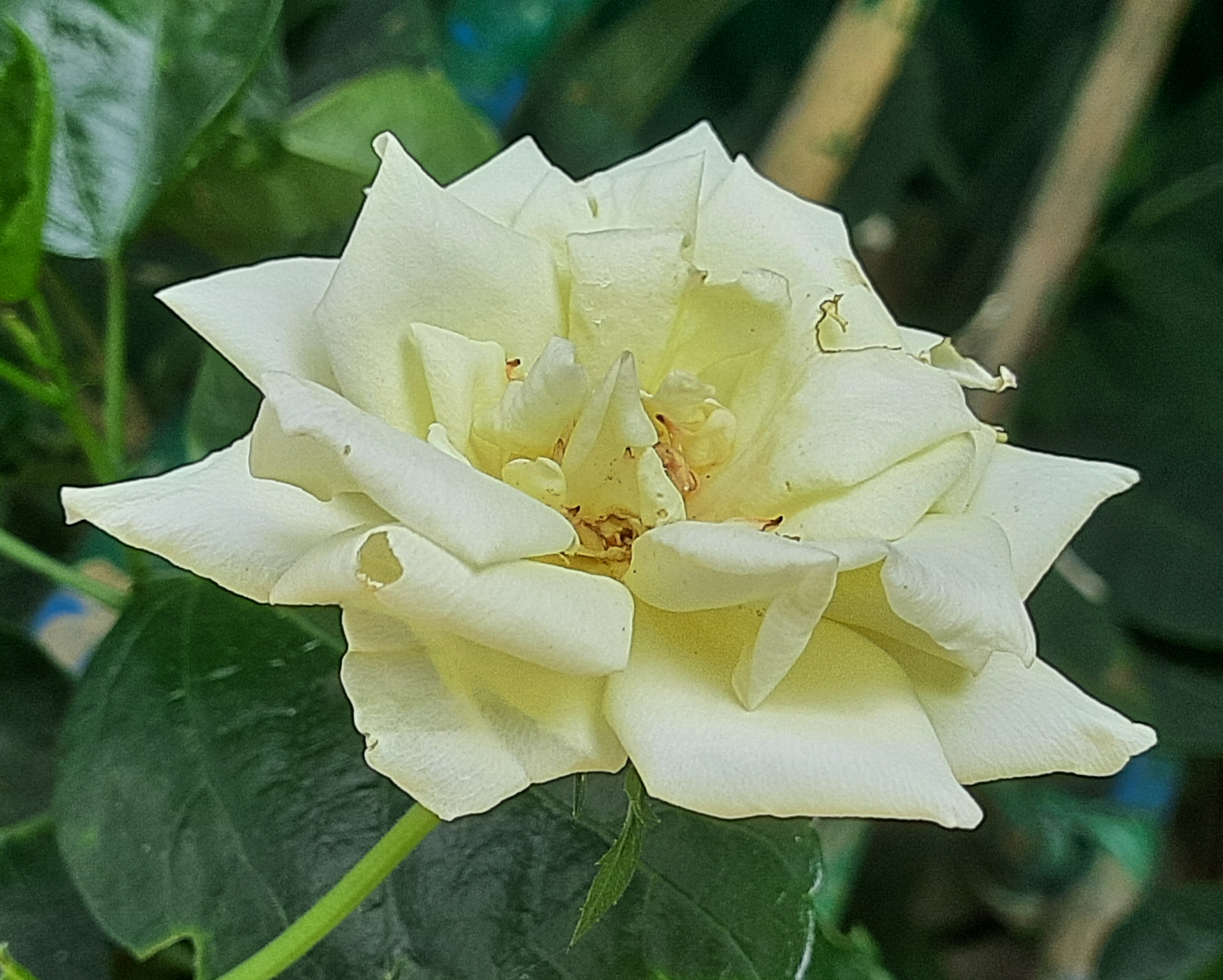 20251028_134401.jpg