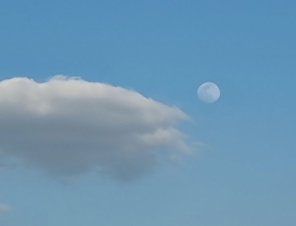 SmartSelect_20210425-203200_Gallery.jpg
